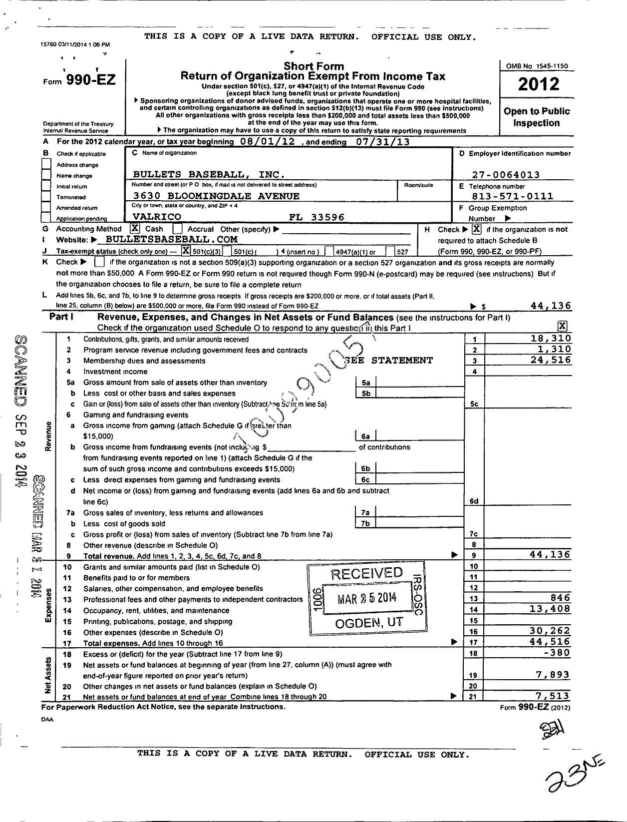 Image of first page of 2012 Form 990EZ for Bullets Baseball