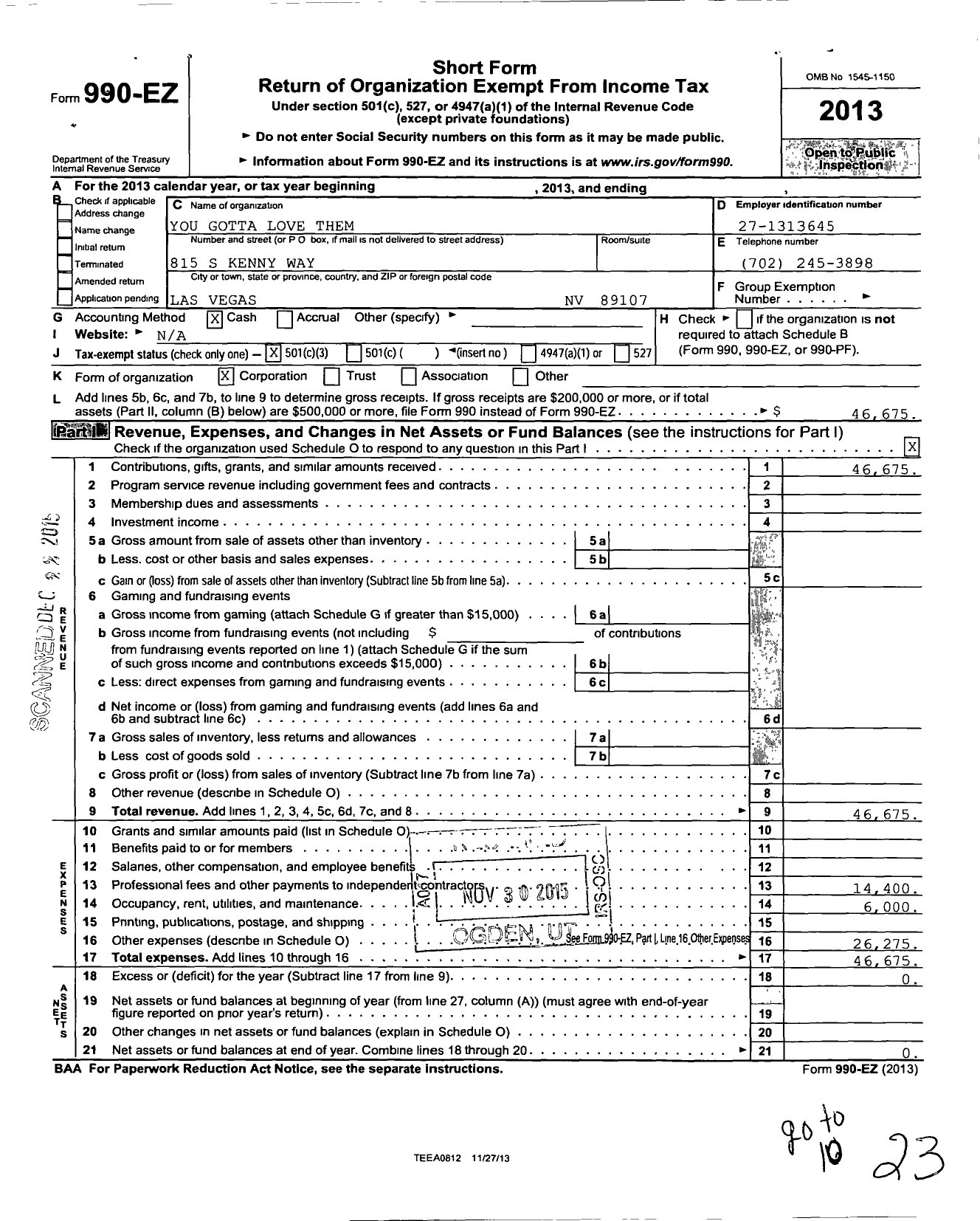 Image of first page of 2013 Form 990EZ for You Gotta Love Them for the Love of Bobby