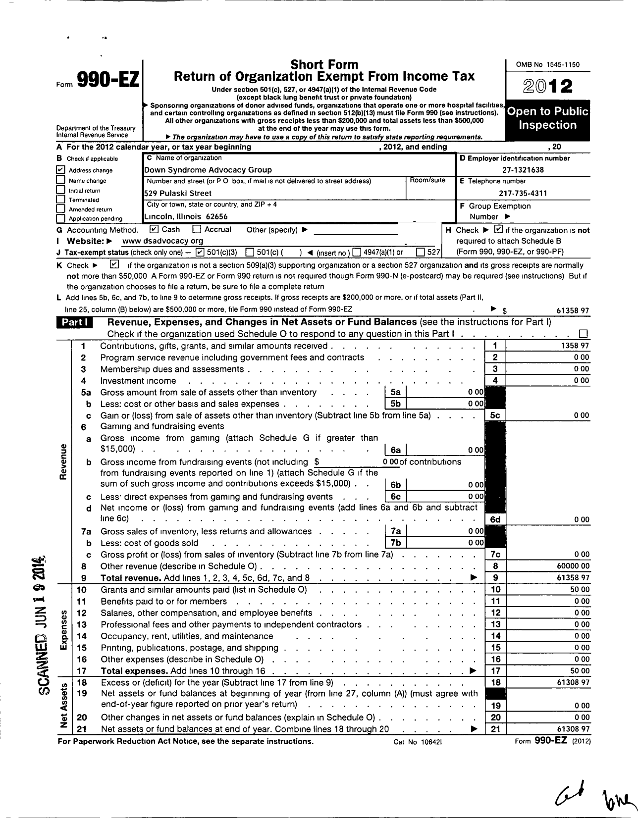 Image of first page of 2012 Form 990EZ for Down Syndrome Advocacy Group of Illinois