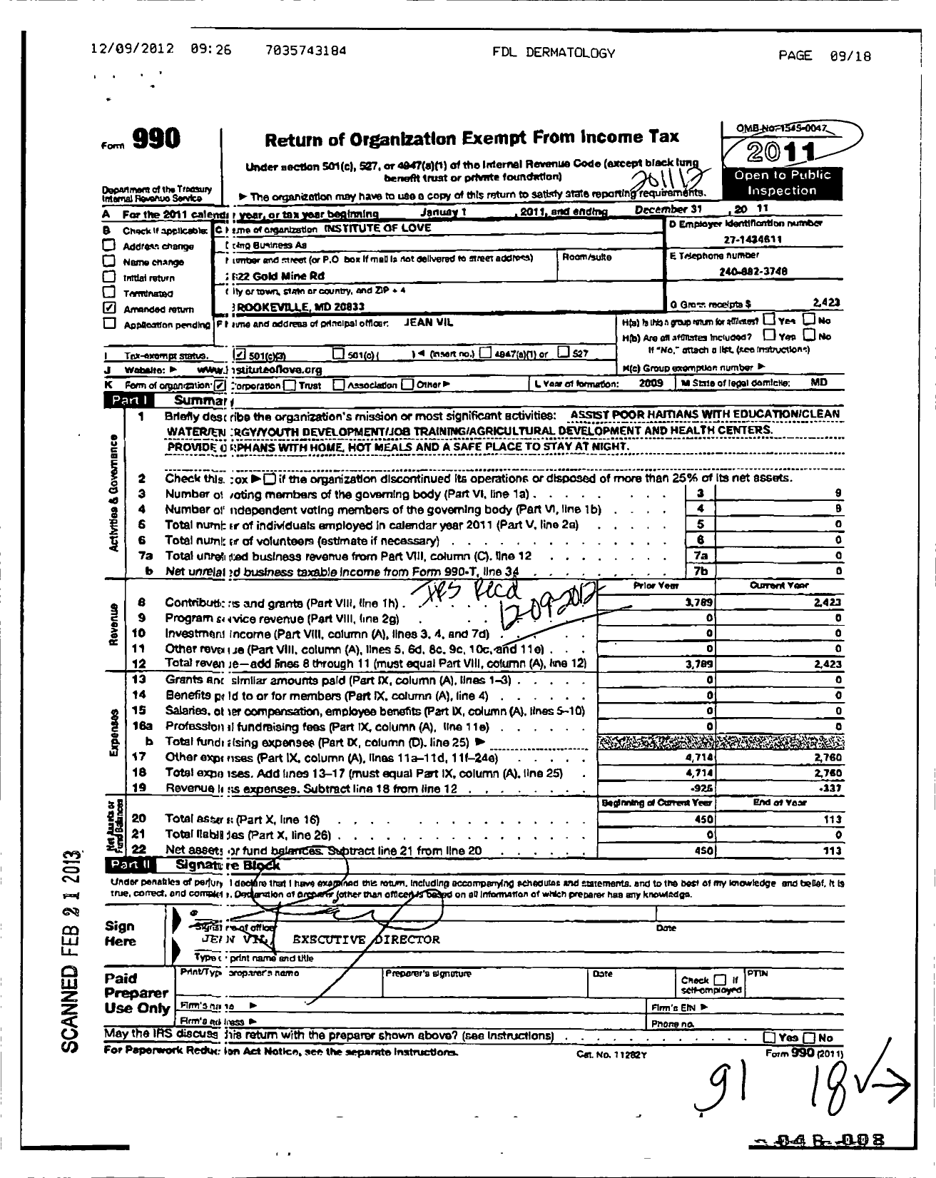 Image of first page of 2011 Form 990 for Institute of Love