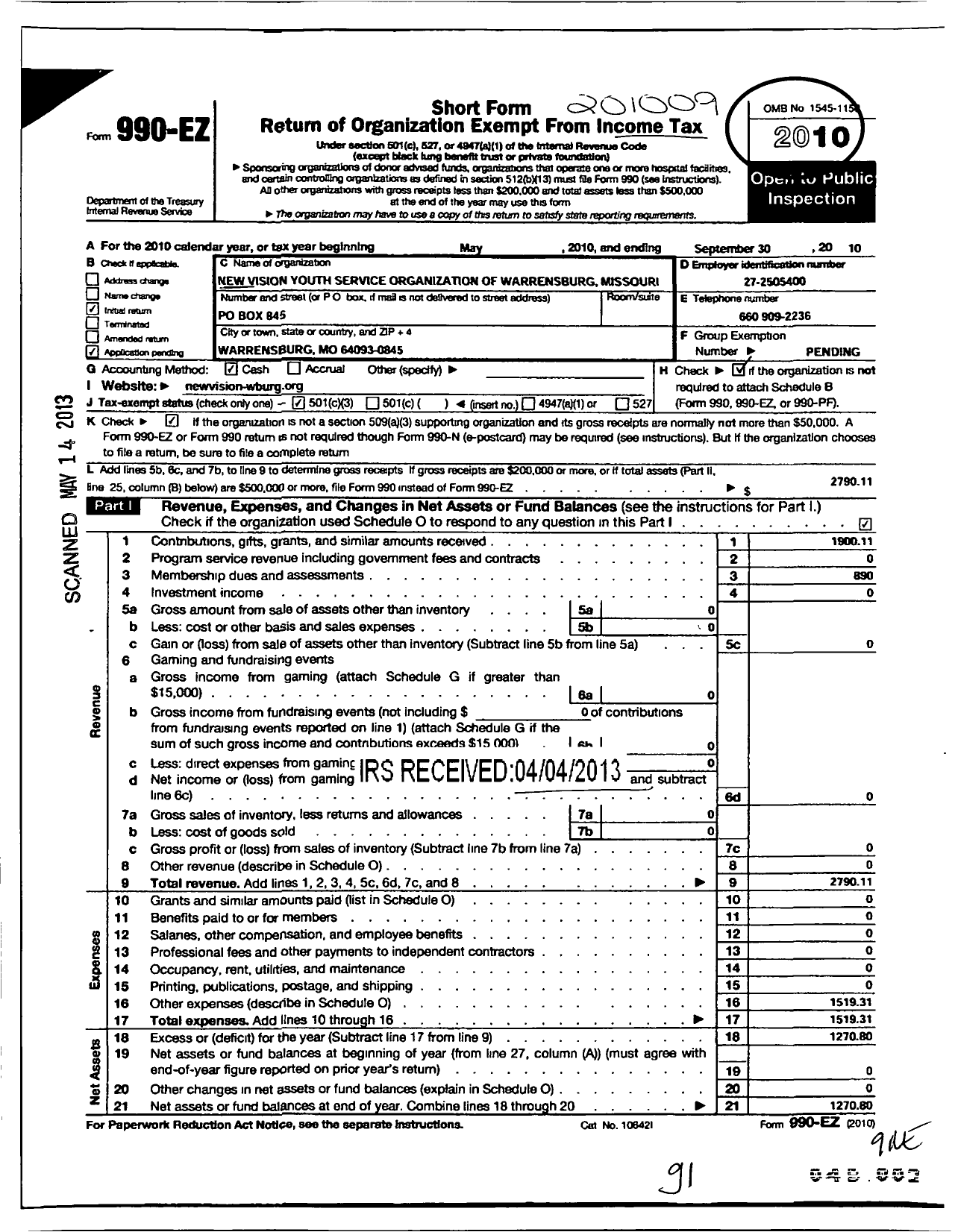 Image of first page of 2009 Form 990EZ for New Vision Youth Service Organization of Warrensburg Missouri