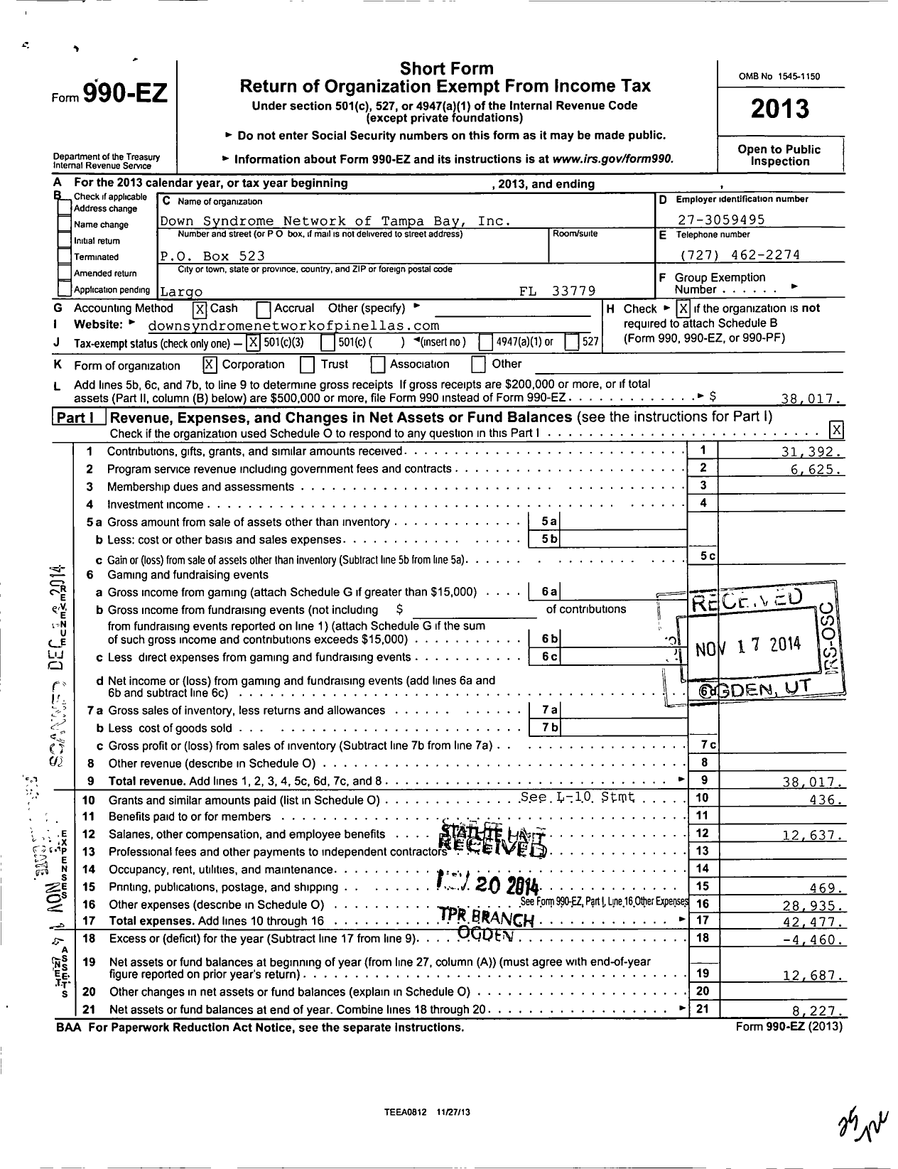 Image of first page of 2013 Form 990EZ for Raising Down Syndrome Foundation