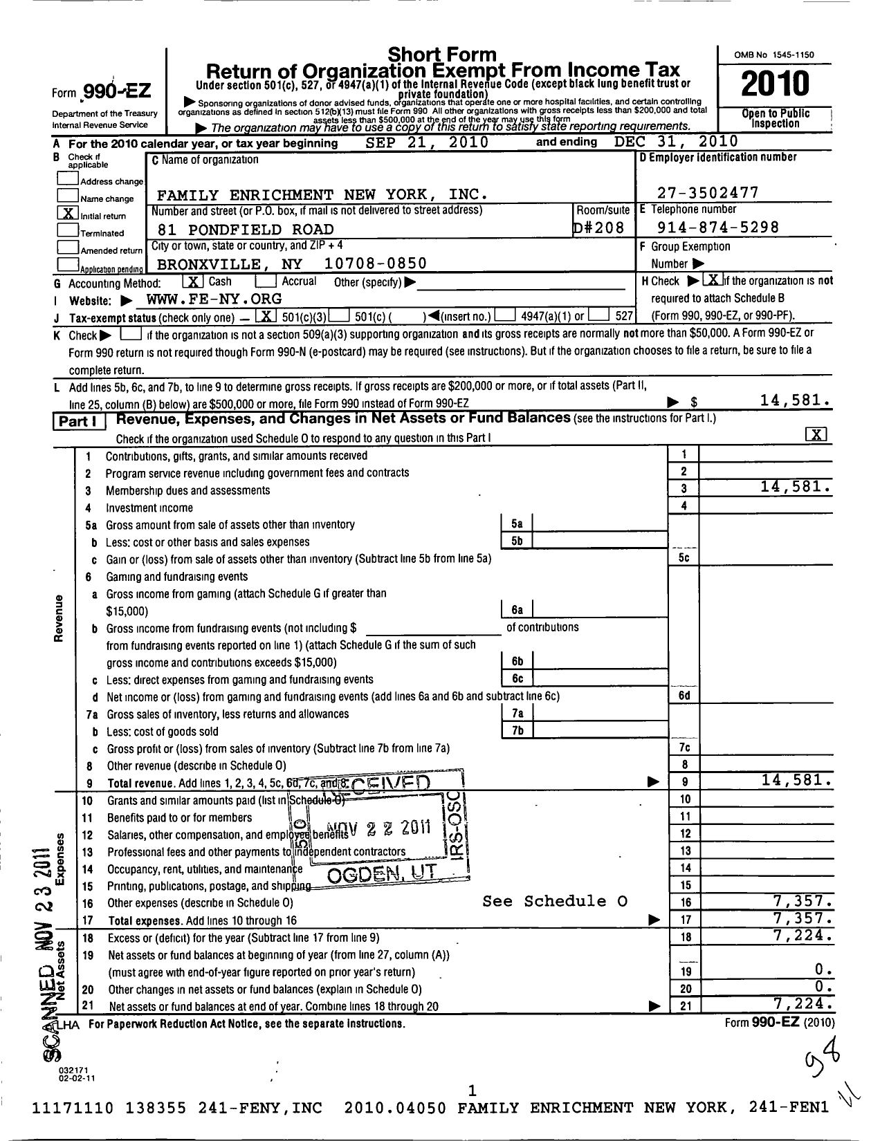 Image of first page of 2010 Form 990EZ for Family Enrichment New York