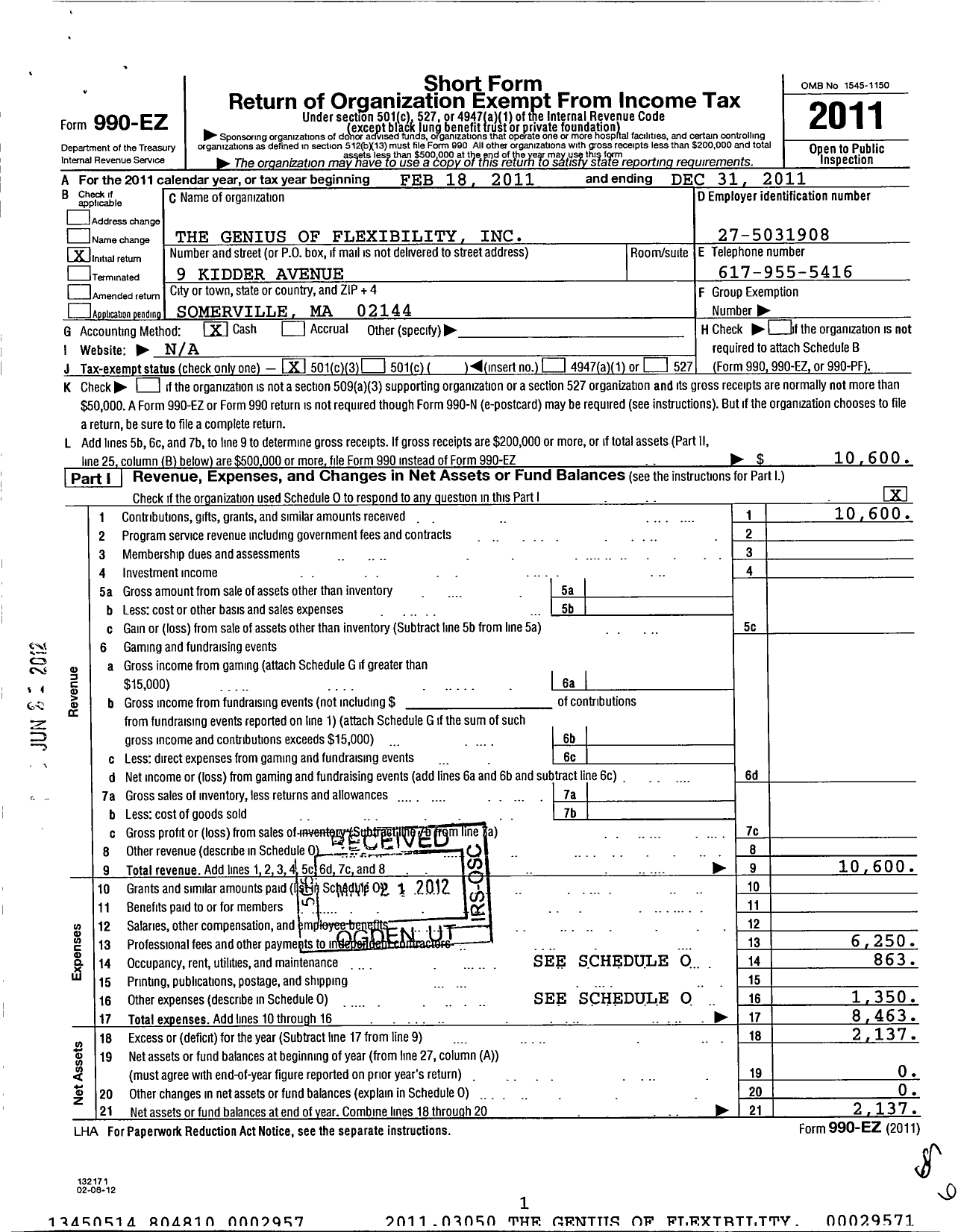 Image of first page of 2011 Form 990EZ for The Genius of Flexibility