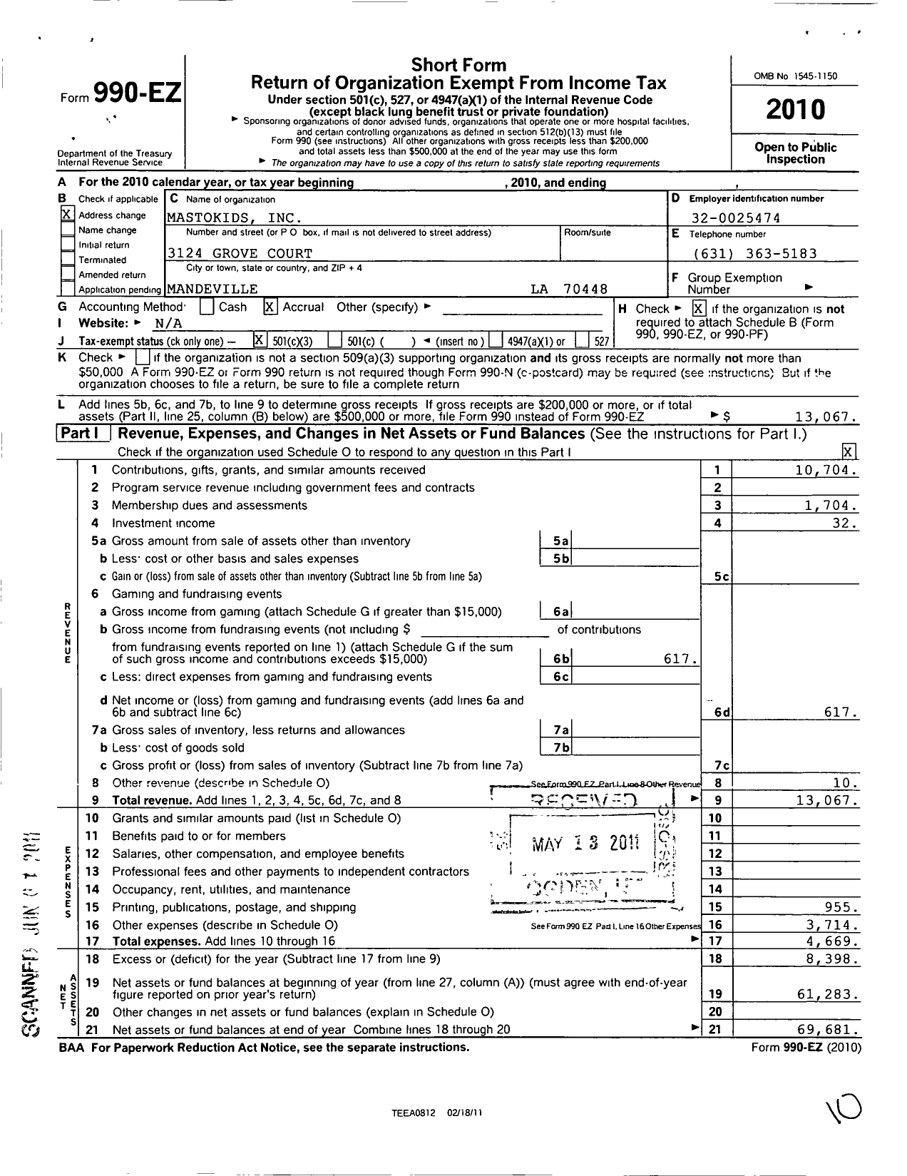 Image of first page of 2010 Form 990EZ for Mastokids