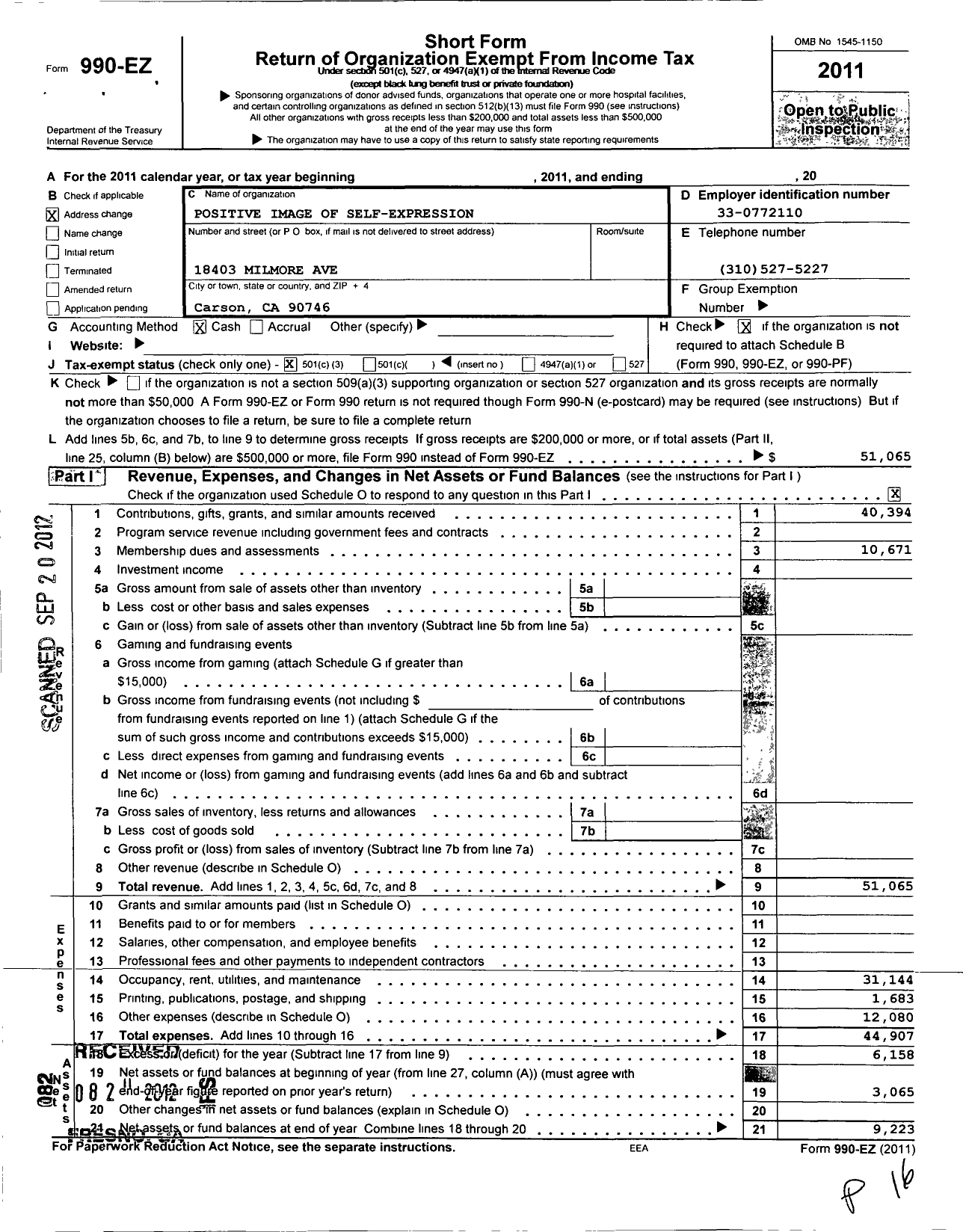 Image of first page of 2011 Form 990EZ for Positive Images of Self-Expression