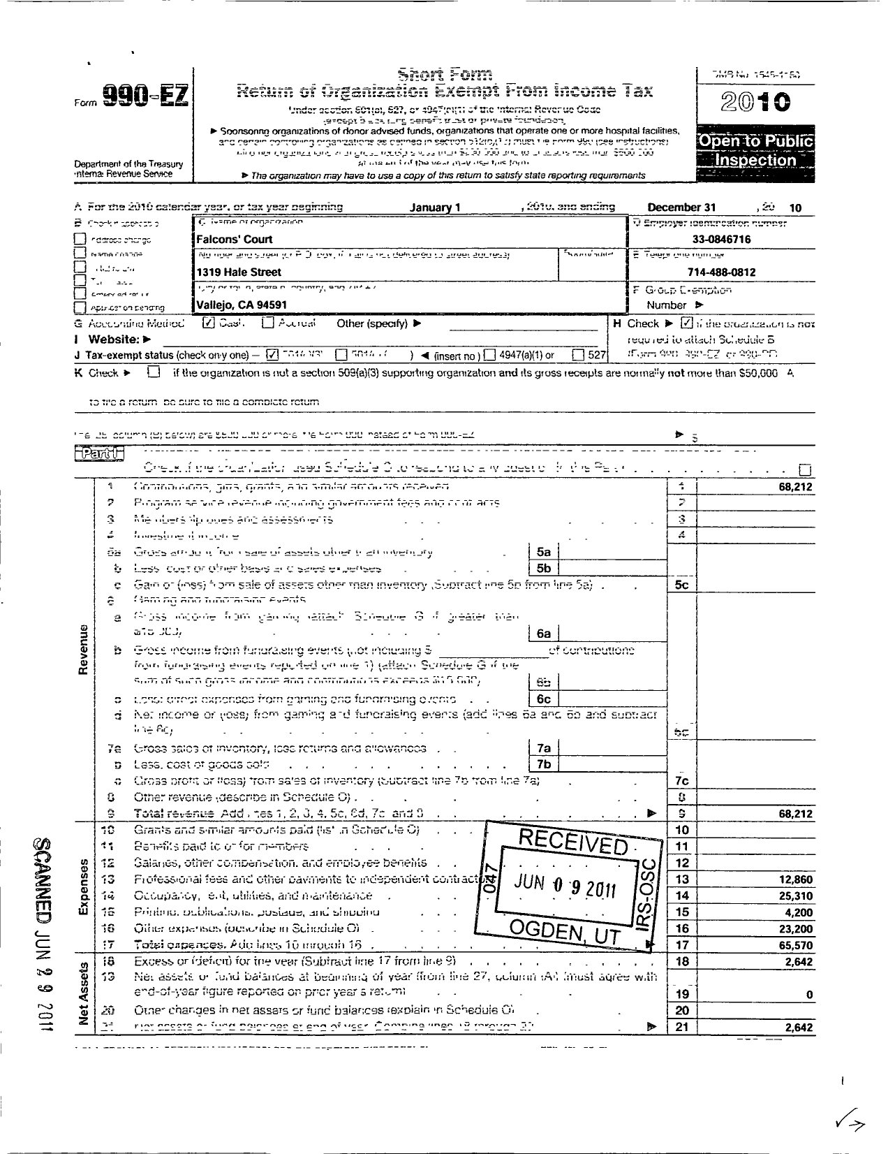 Image of first page of 2010 Form 990EZ for Falcons Court