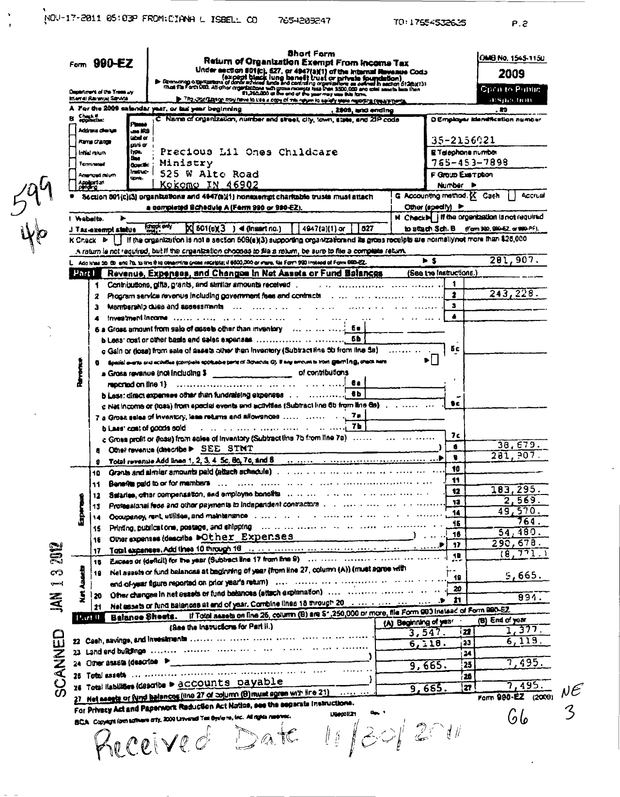 Image of first page of 2009 Form 990EZ for Precious Lil Ones Childcare Ministry