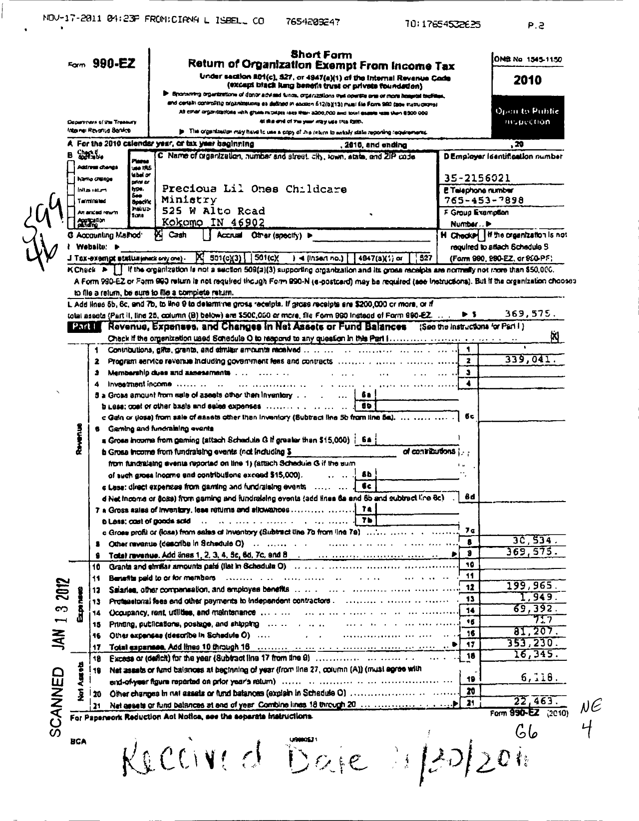 Image of first page of 2010 Form 990EZ for Precious Lil Ones Childcare Ministry