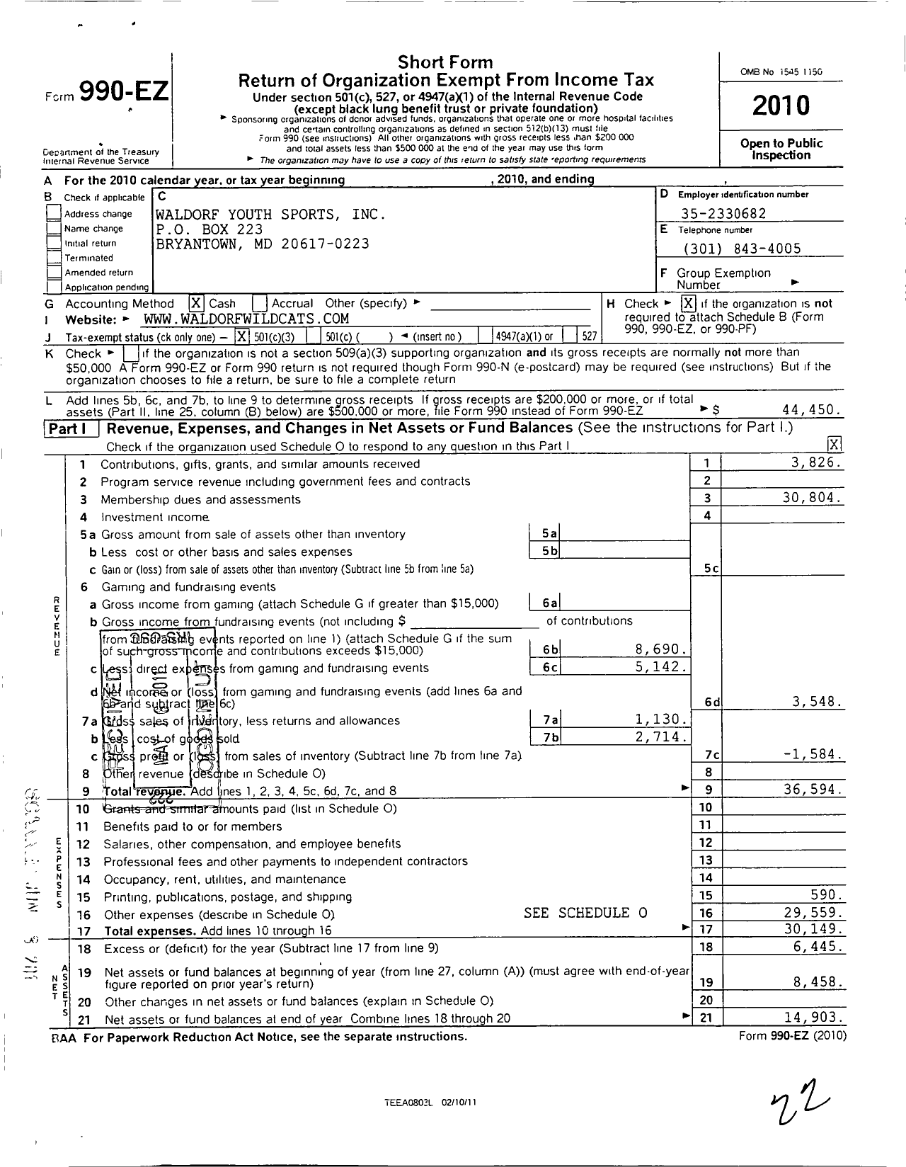 Image of first page of 2010 Form 990EZ for Waldorf Youth Sports