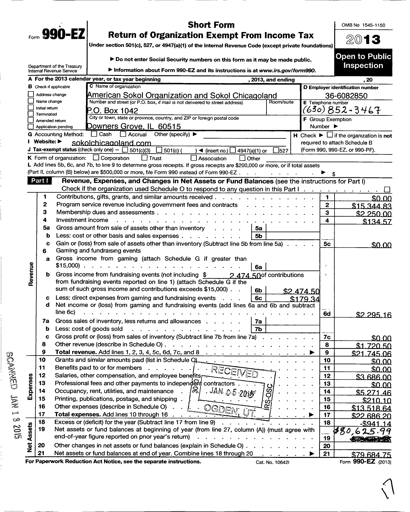 Image of first page of 2013 Form 990EO for American SOKOL Organization and Educational and physical Culture O / Sokol Chicagoland