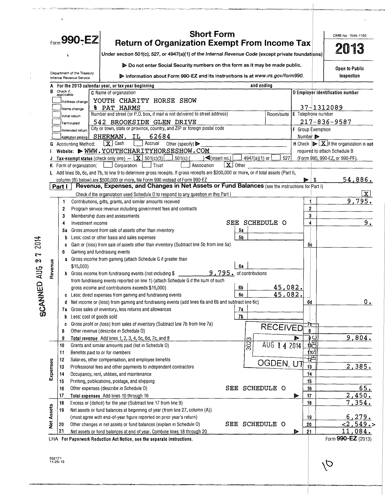 Image of first page of 2013 Form 990EZ for Youth Charity Horse Show