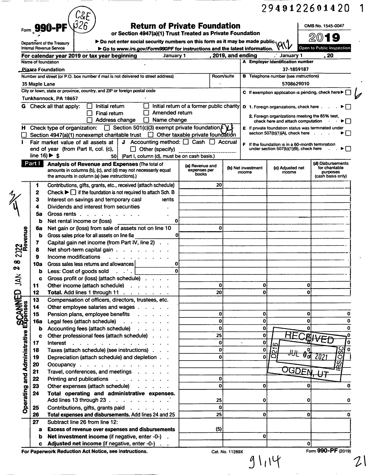 Image of first page of 2019 Form 990PF for The Piazza Foundation