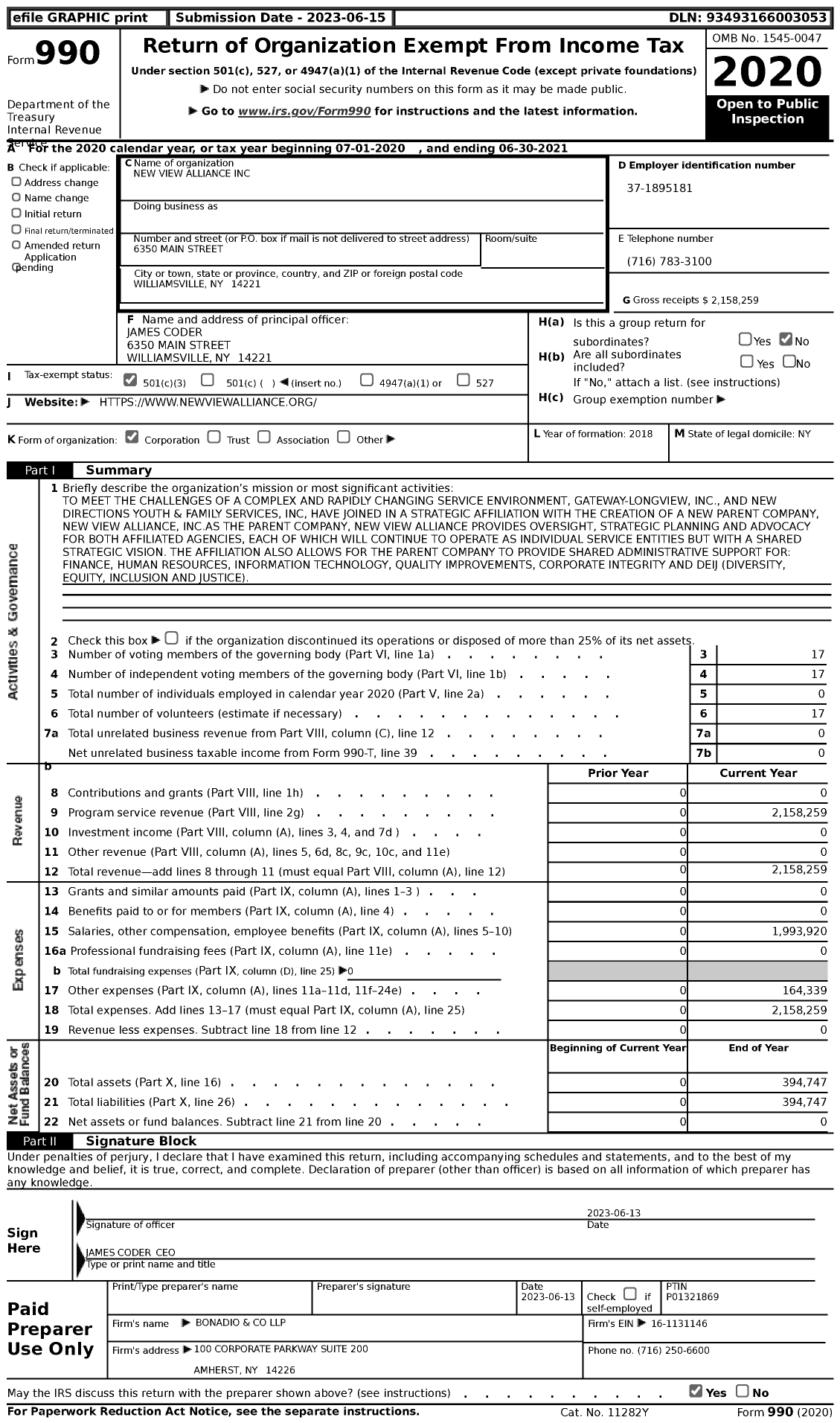 Image of first page of 2020 Form 990 for New View Alliance