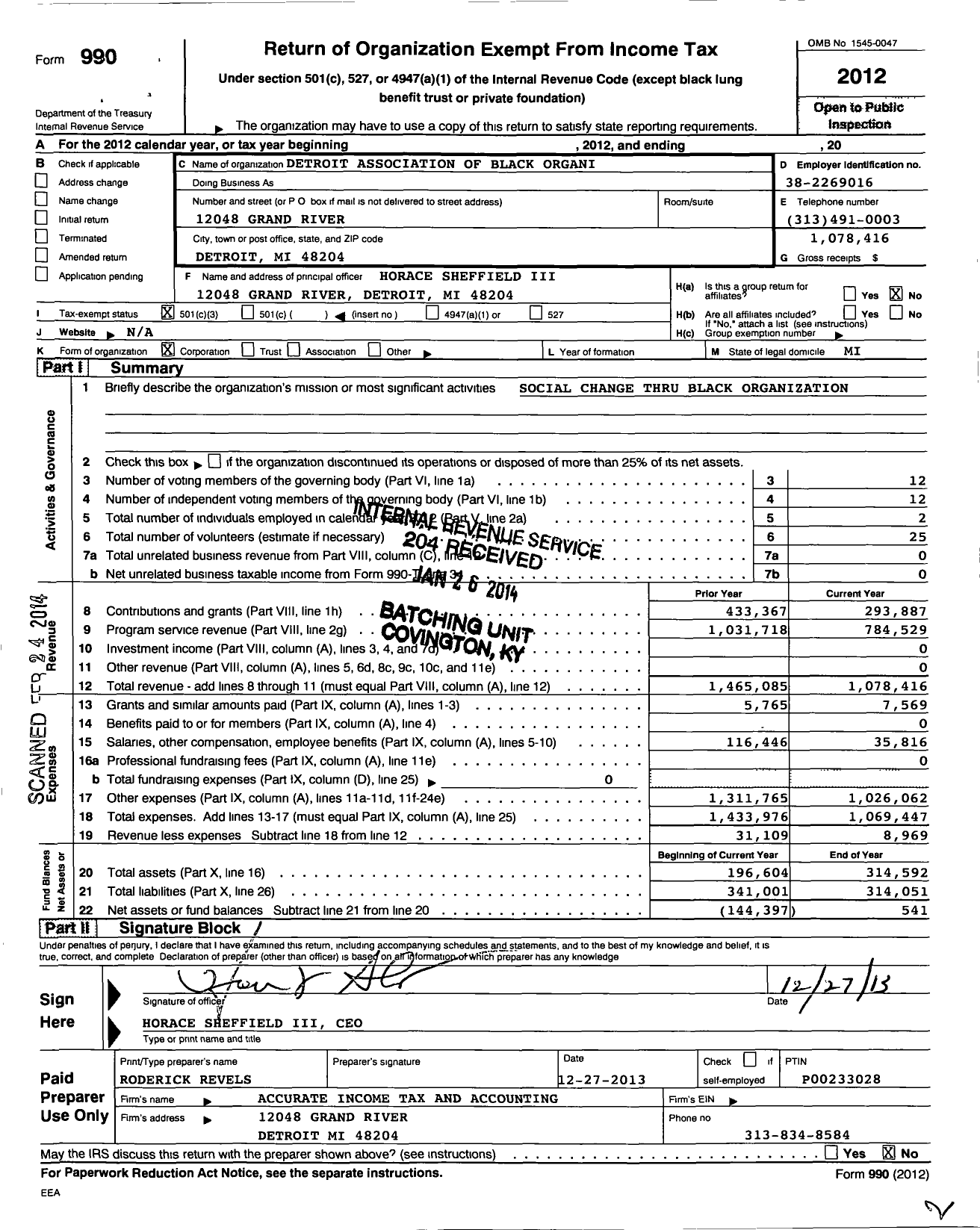 Image of first page of 2012 Form 990 for Detroit Association of Black Organizations