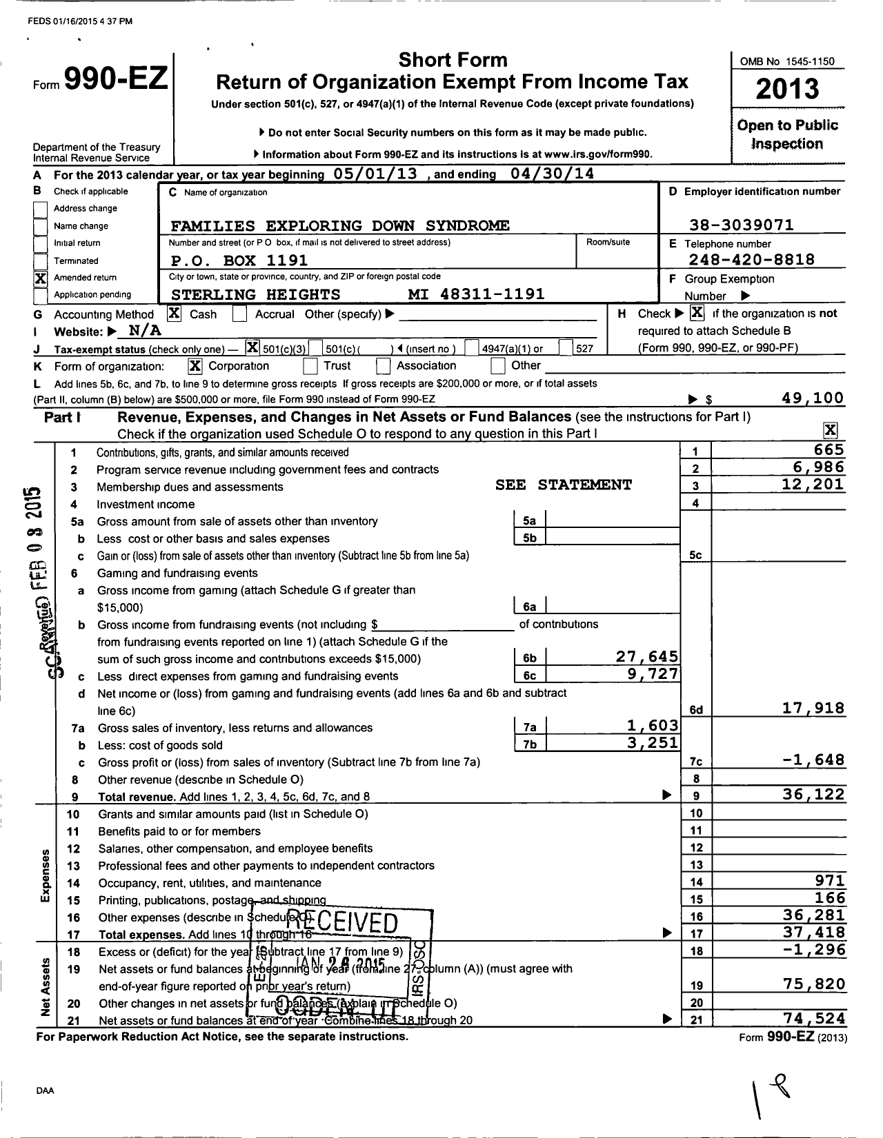 Image of first page of 2013 Form 990EZ for Families Exploring Down Syndrome Bethany Mclain