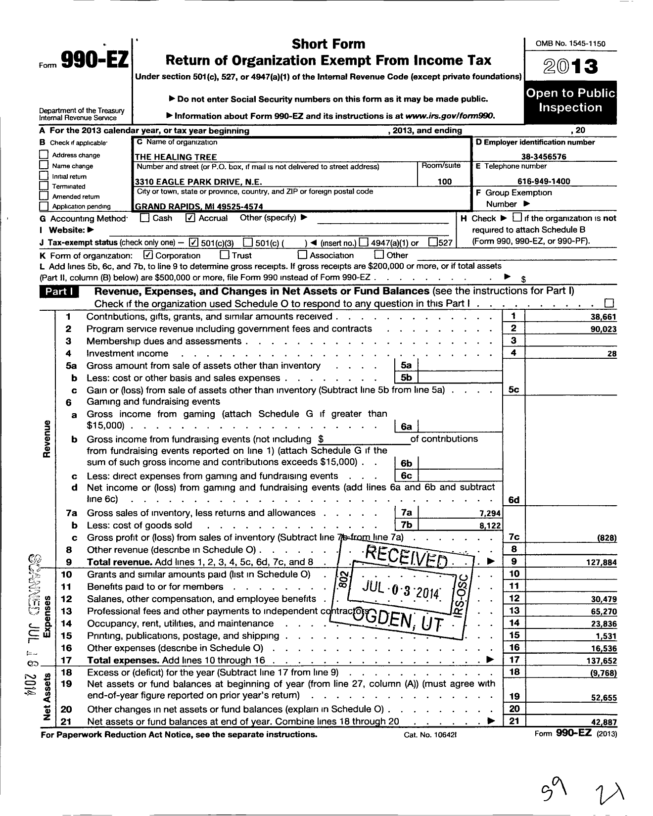 Image of first page of 2013 Form 990EZ for Healing Tree