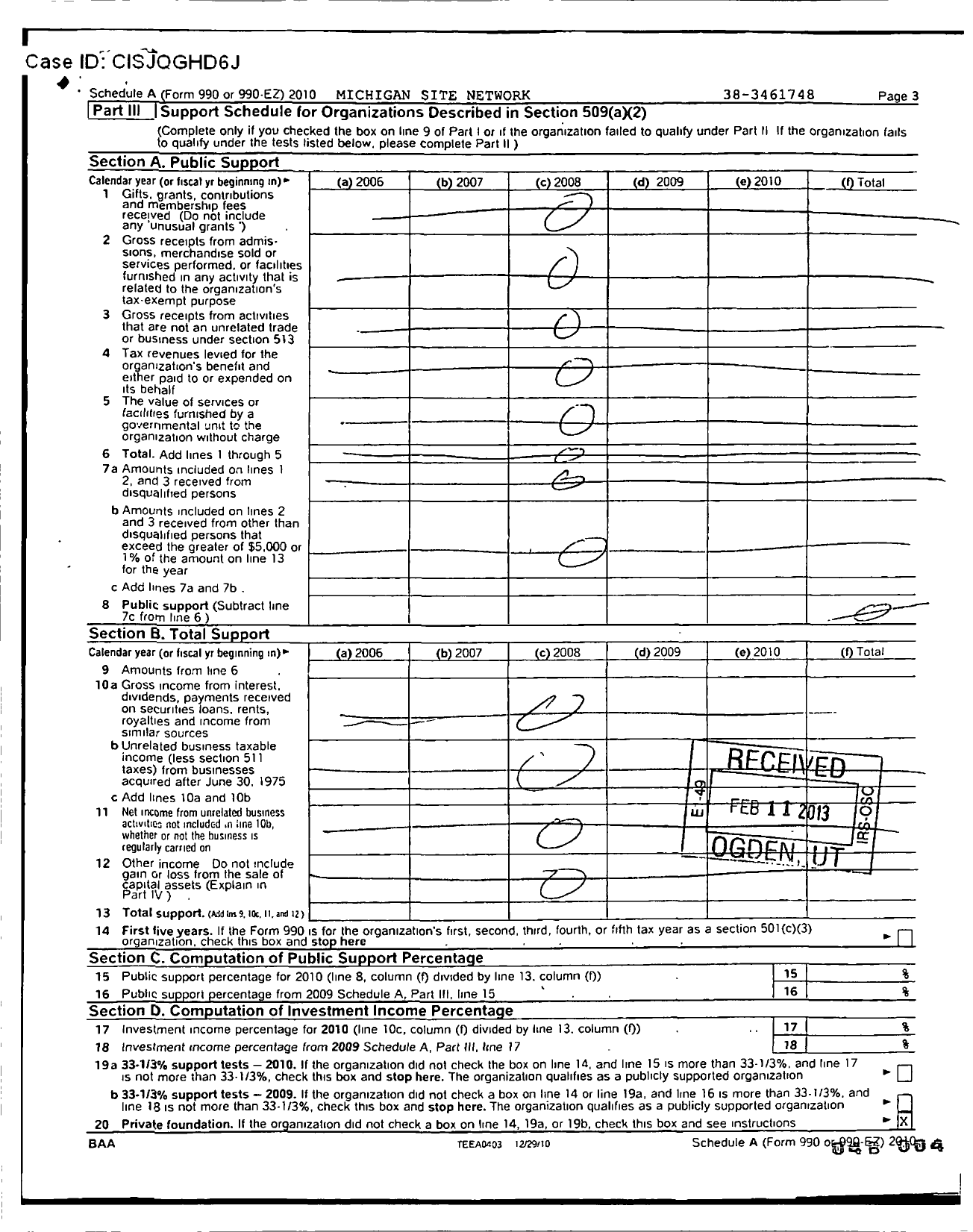 Image of first page of 2010 Form 990ER for Michigan Site Network