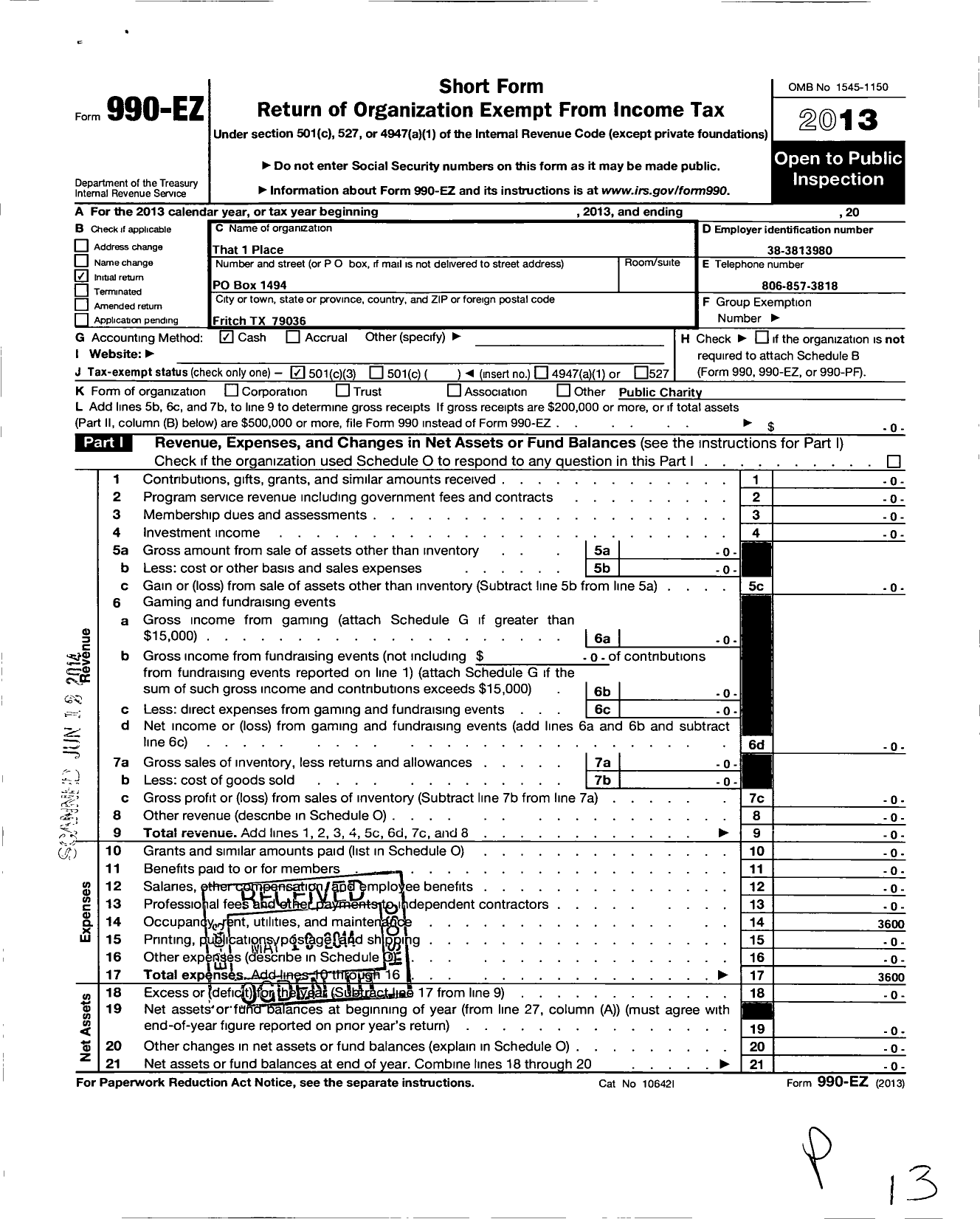 Image of first page of 2013 Form 990EZ for That 1 Place