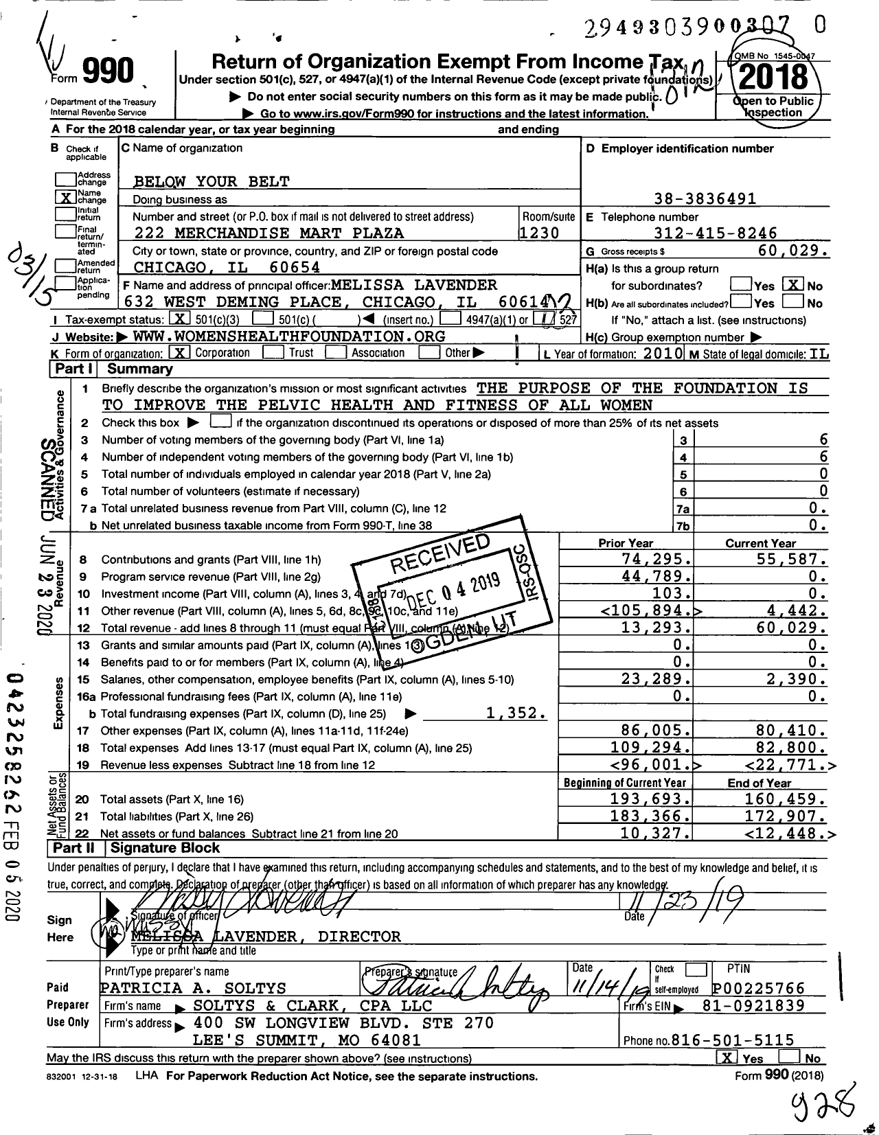 Image of first page of 2018 Form 990 for Below Your Belt