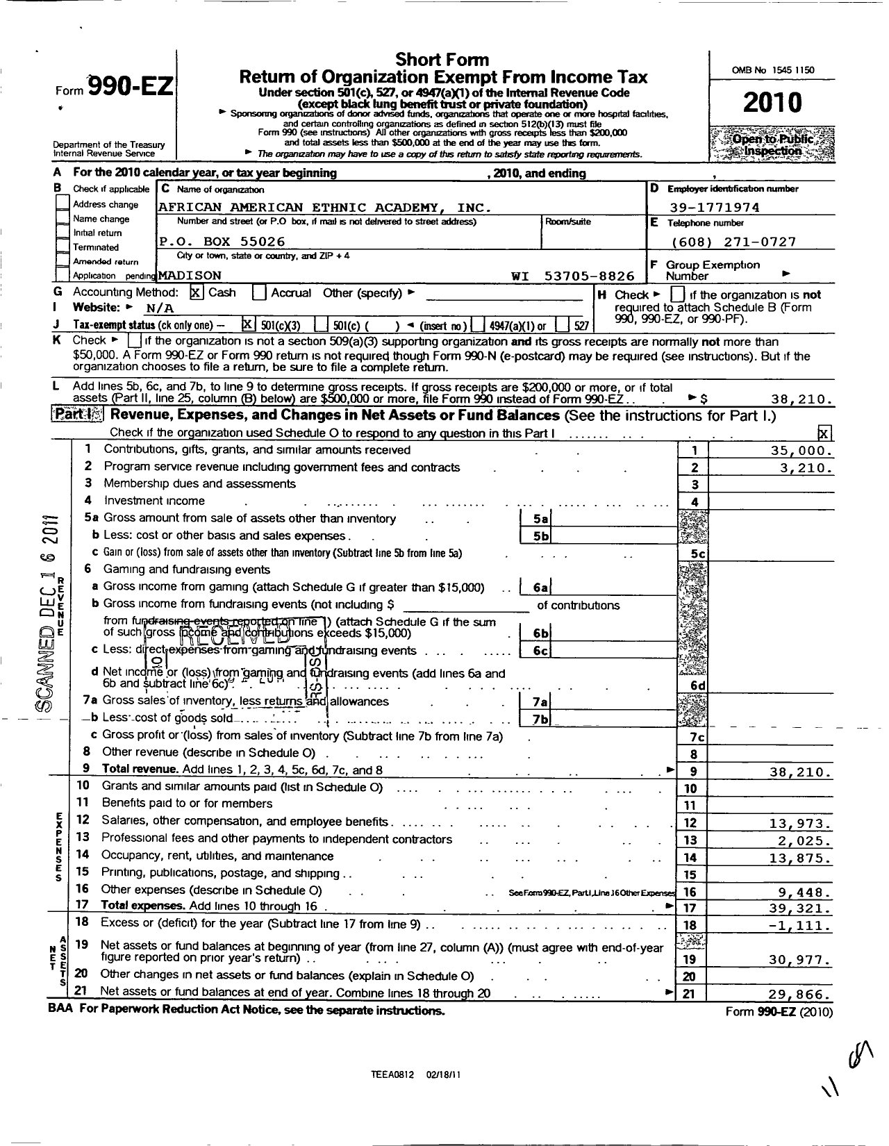 Image of first page of 2010 Form 990EZ for African American Ethnic Academy