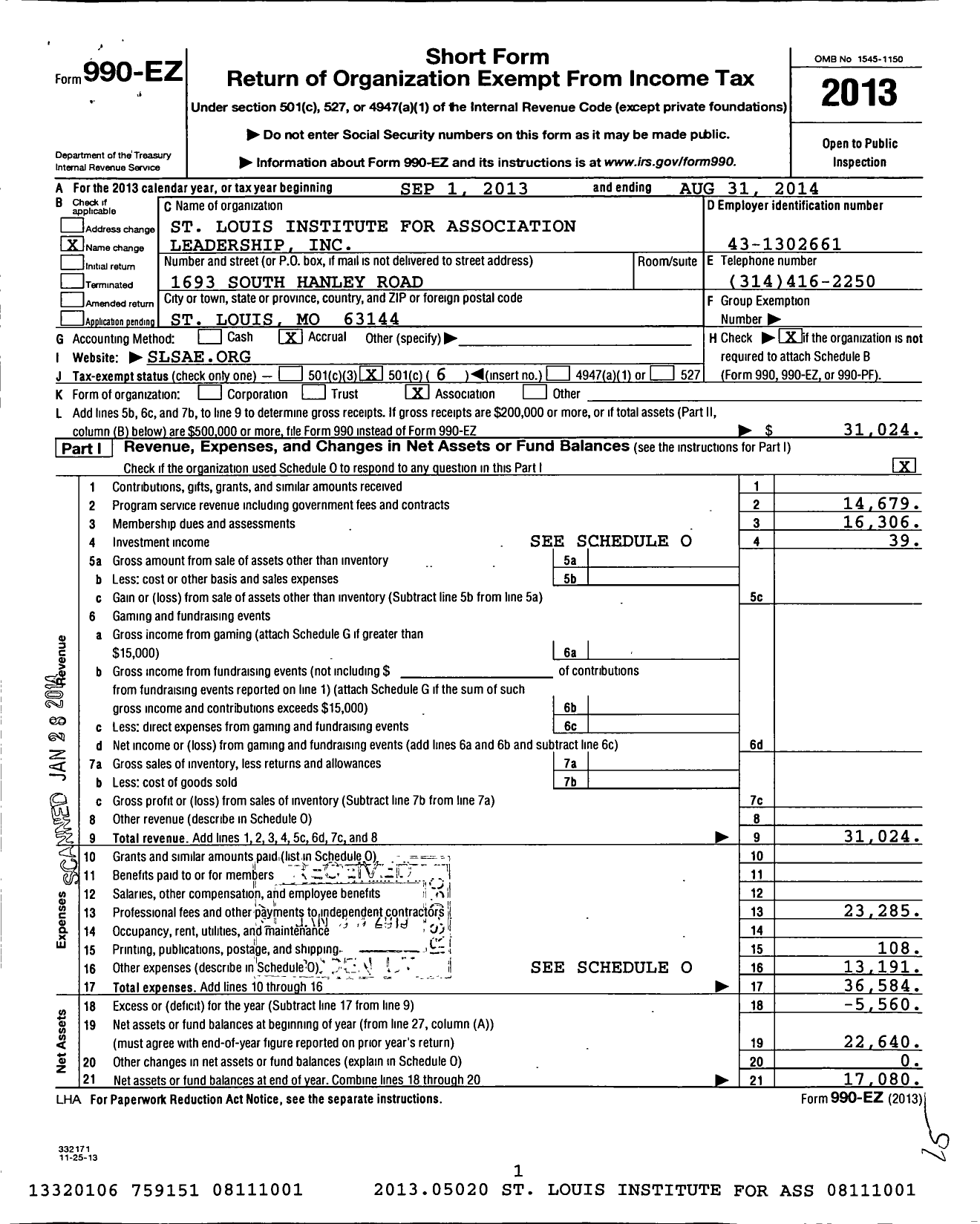 Image of first page of 2013 Form 990EO for St Louis Society of Association Executives