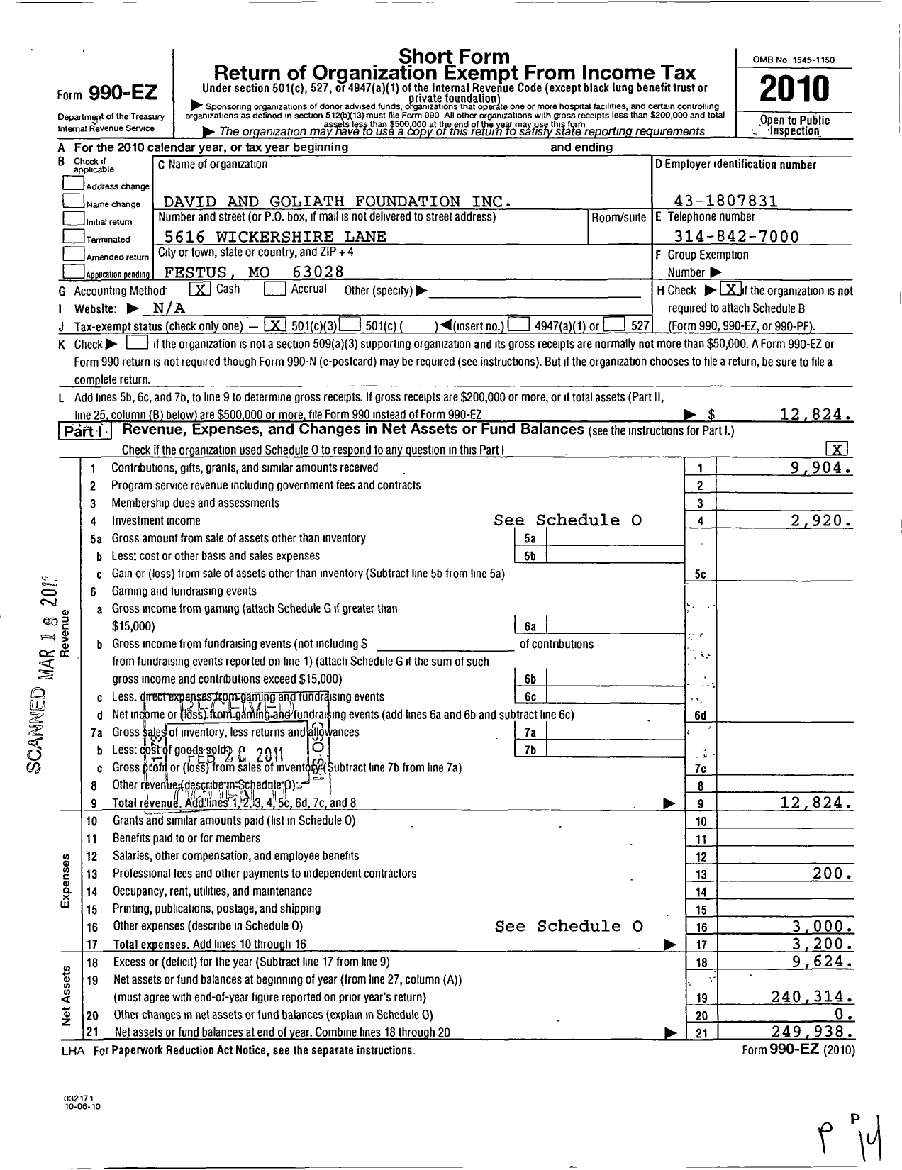 Image of first page of 2010 Form 990EZ for David Goliath Foundation