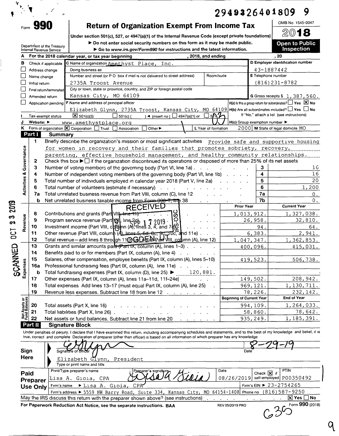 Image of first page of 2018 Form 990 for Amethyst Place