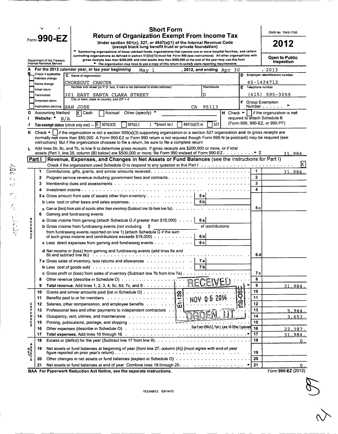 Image of first page of 2012 Form 990EZ for Chokeout Cancer