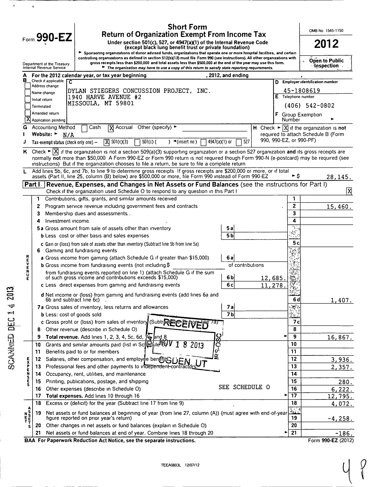 Image of first page of 2012 Form 990EZ for Dylan Stiegers Concussion Project