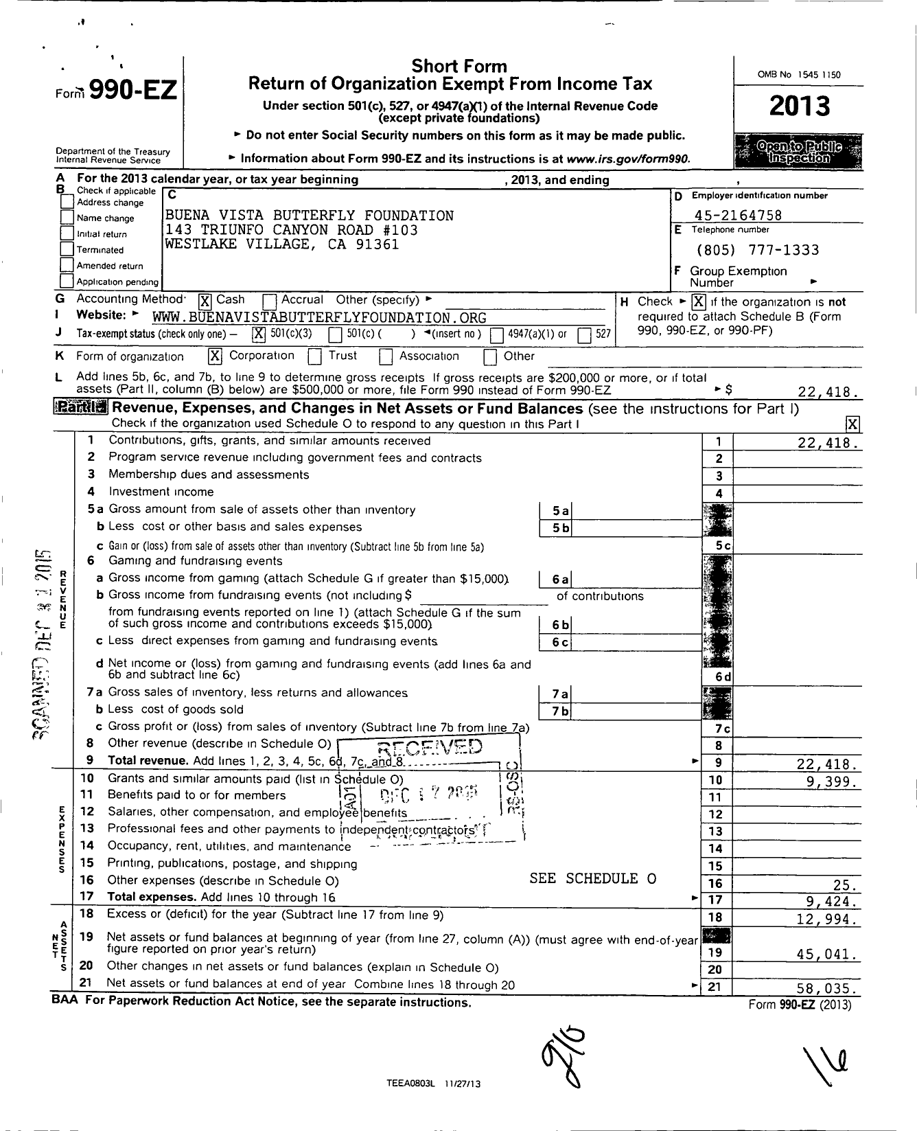 Image of first page of 2013 Form 990EZ for Buena Vista Butterfly Foundation