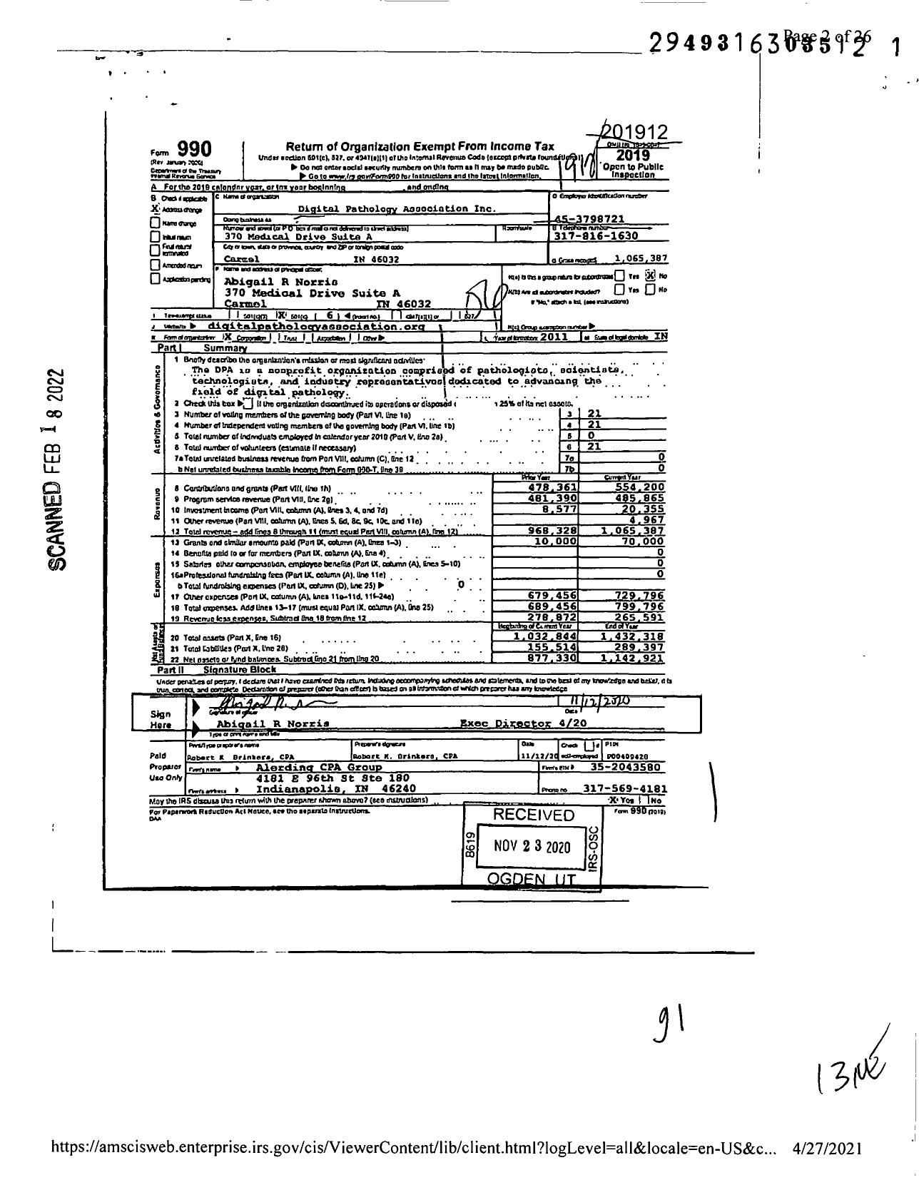 Image of first page of 2019 Form 990O for Digital Pathology Association