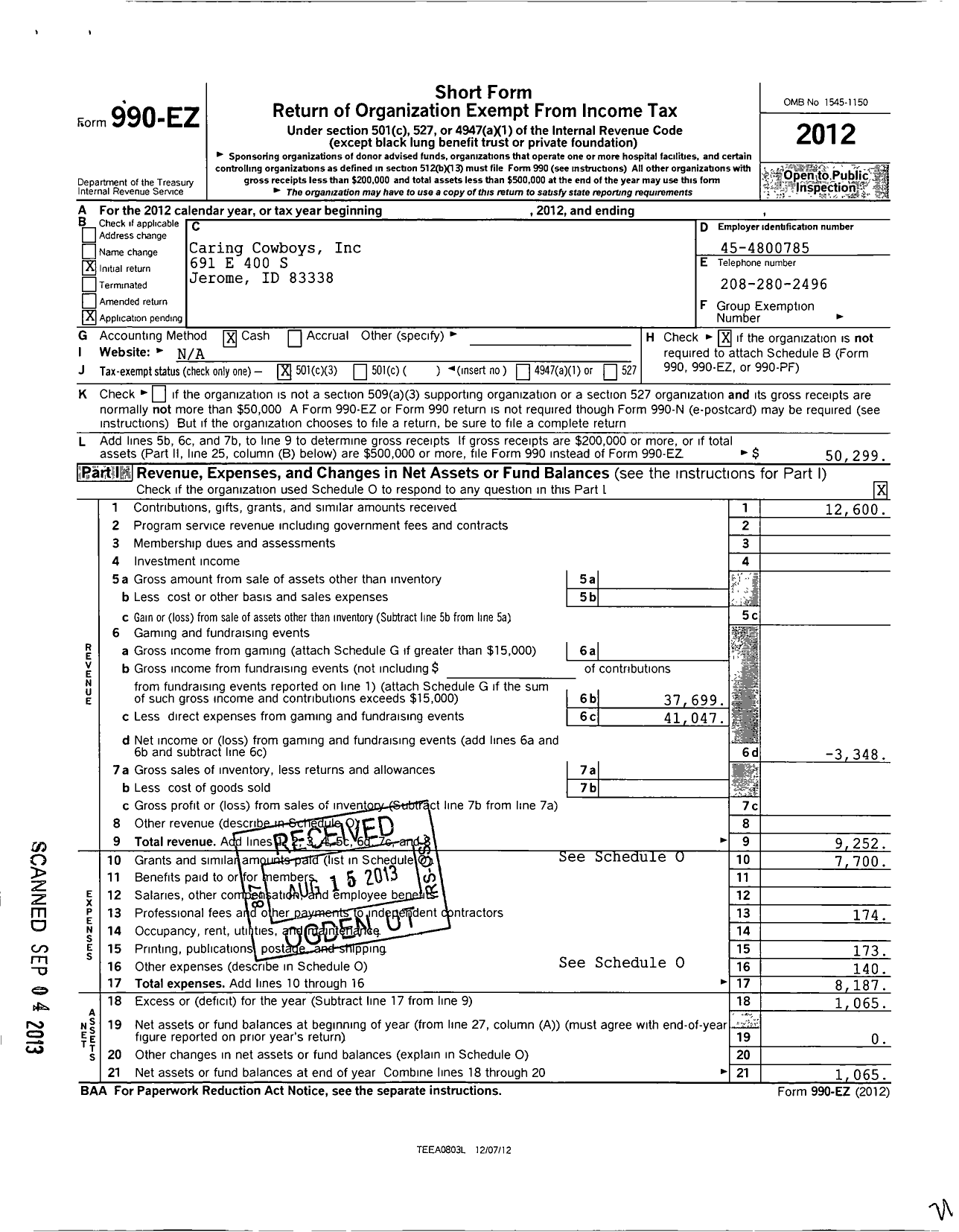 Image of first page of 2012 Form 990EZ for Caring Cowboys