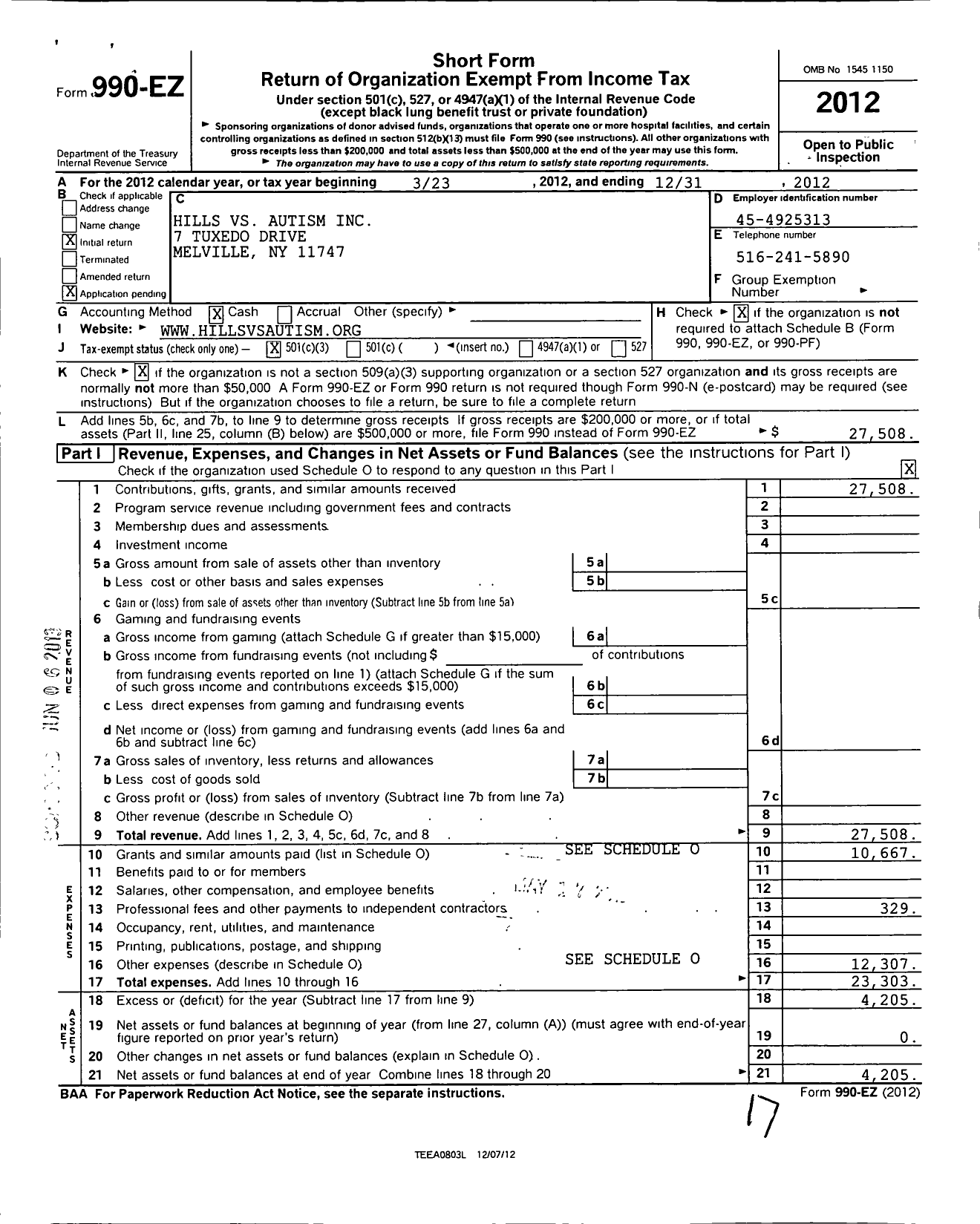 Image of first page of 2012 Form 990EZ for Hills VS Autism