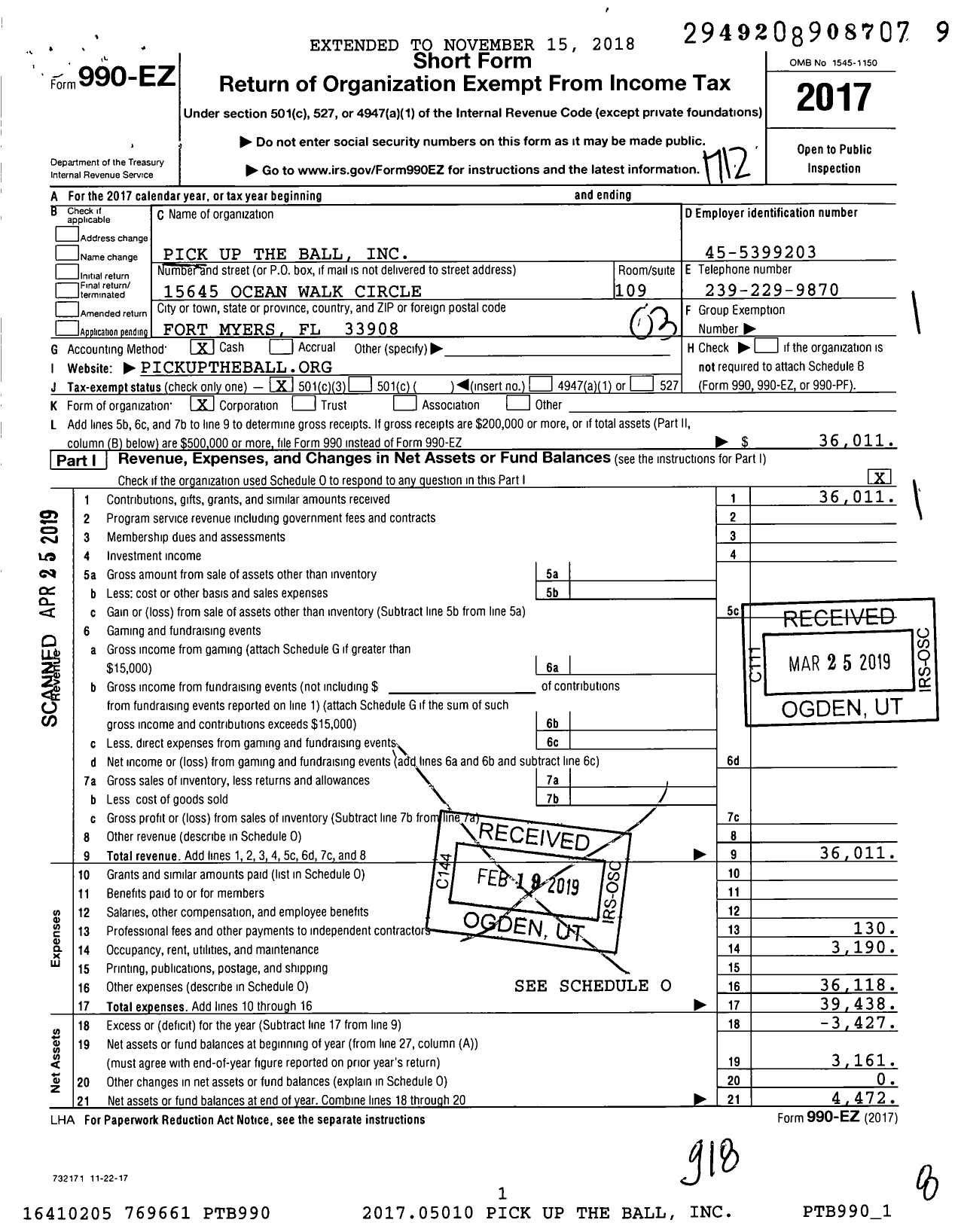 Image of first page of 2017 Form 990EZ for Pickup the Ball