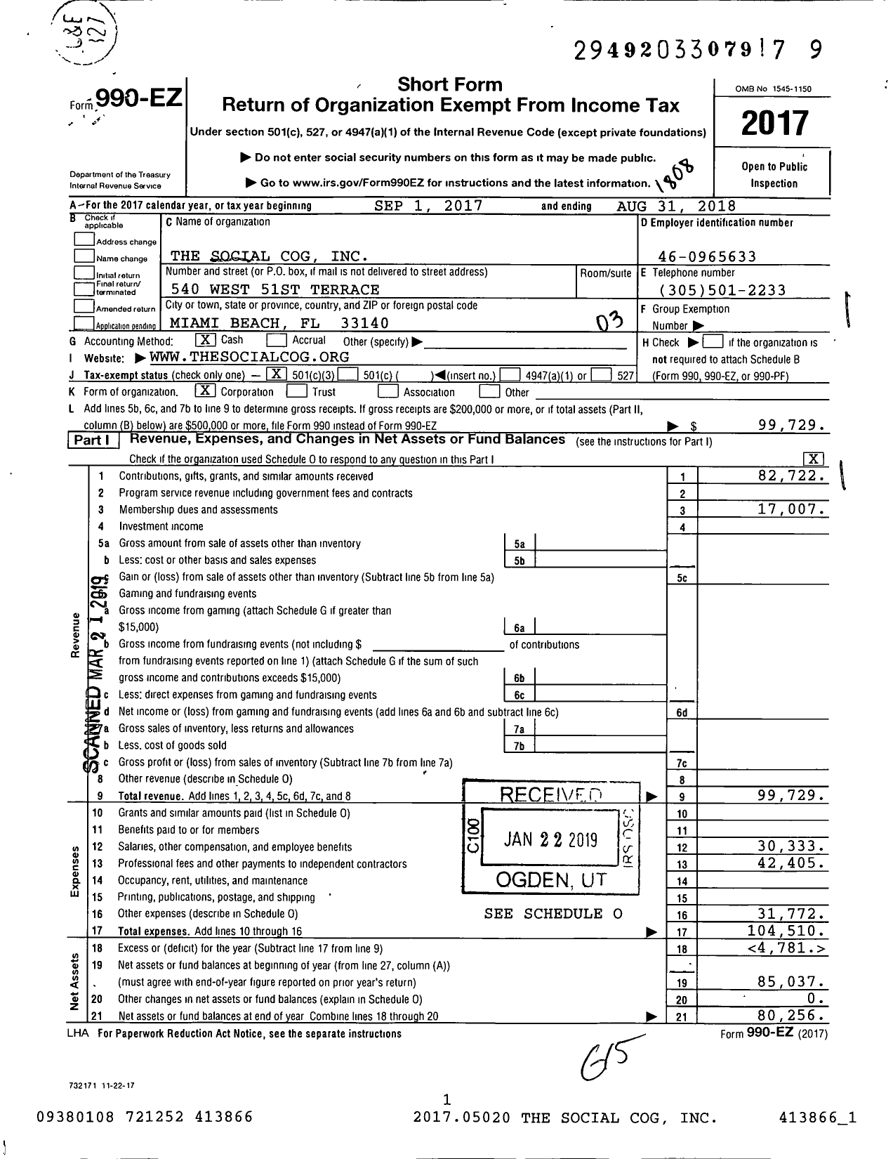 Image of first page of 2017 Form 990EZ for The Social Cog