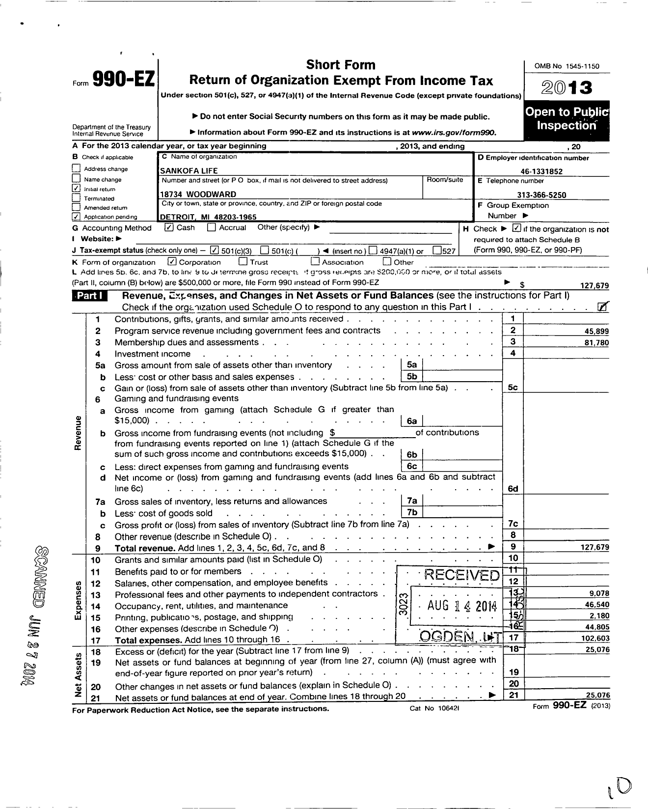 Image of first page of 2013 Form 990EZ for Sankofa Life