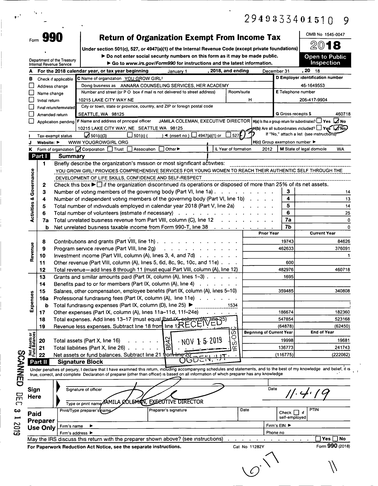 Image of first page of 2018 Form 990 for You Grow Girl