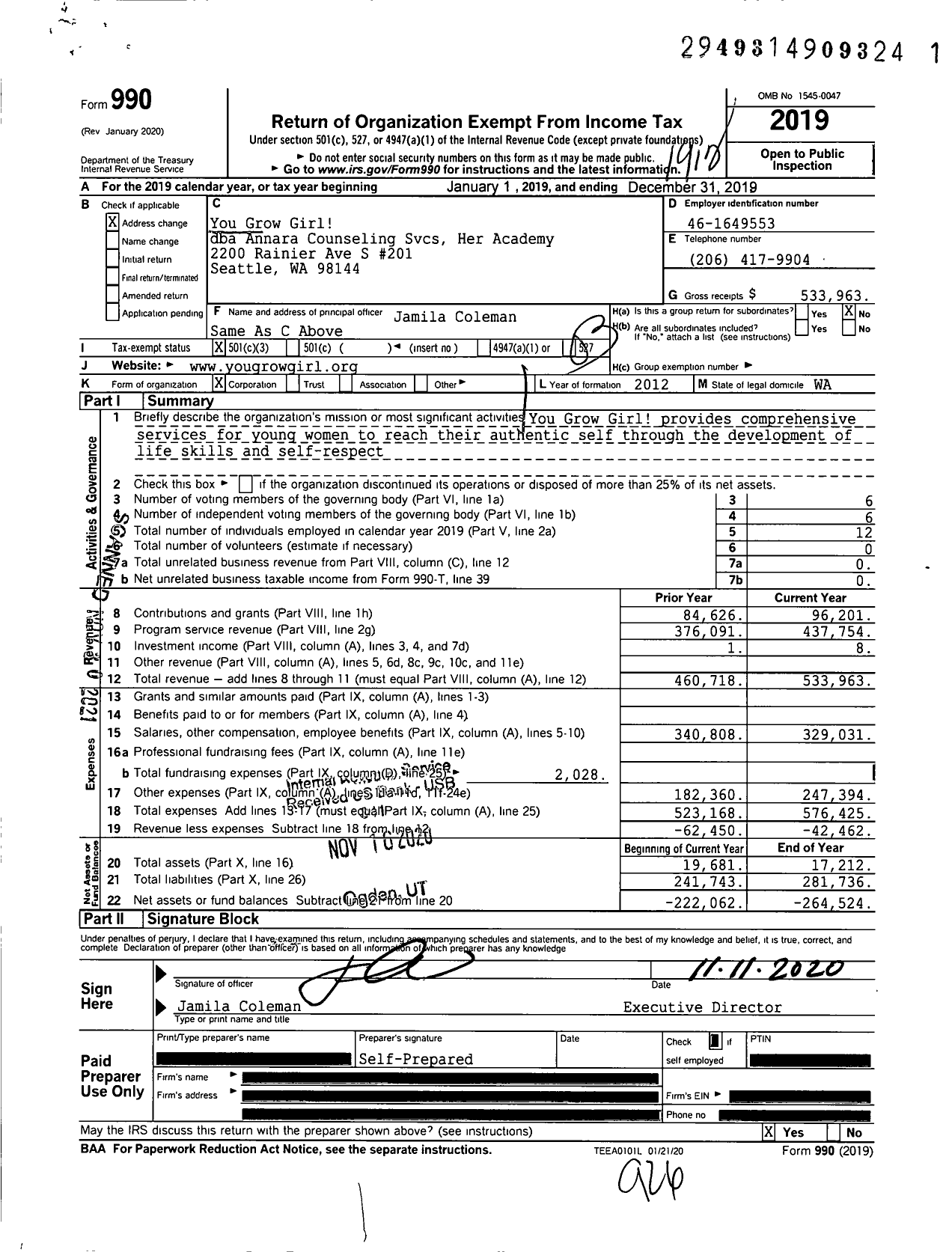 Image of first page of 2019 Form 990 for You Grow Girl