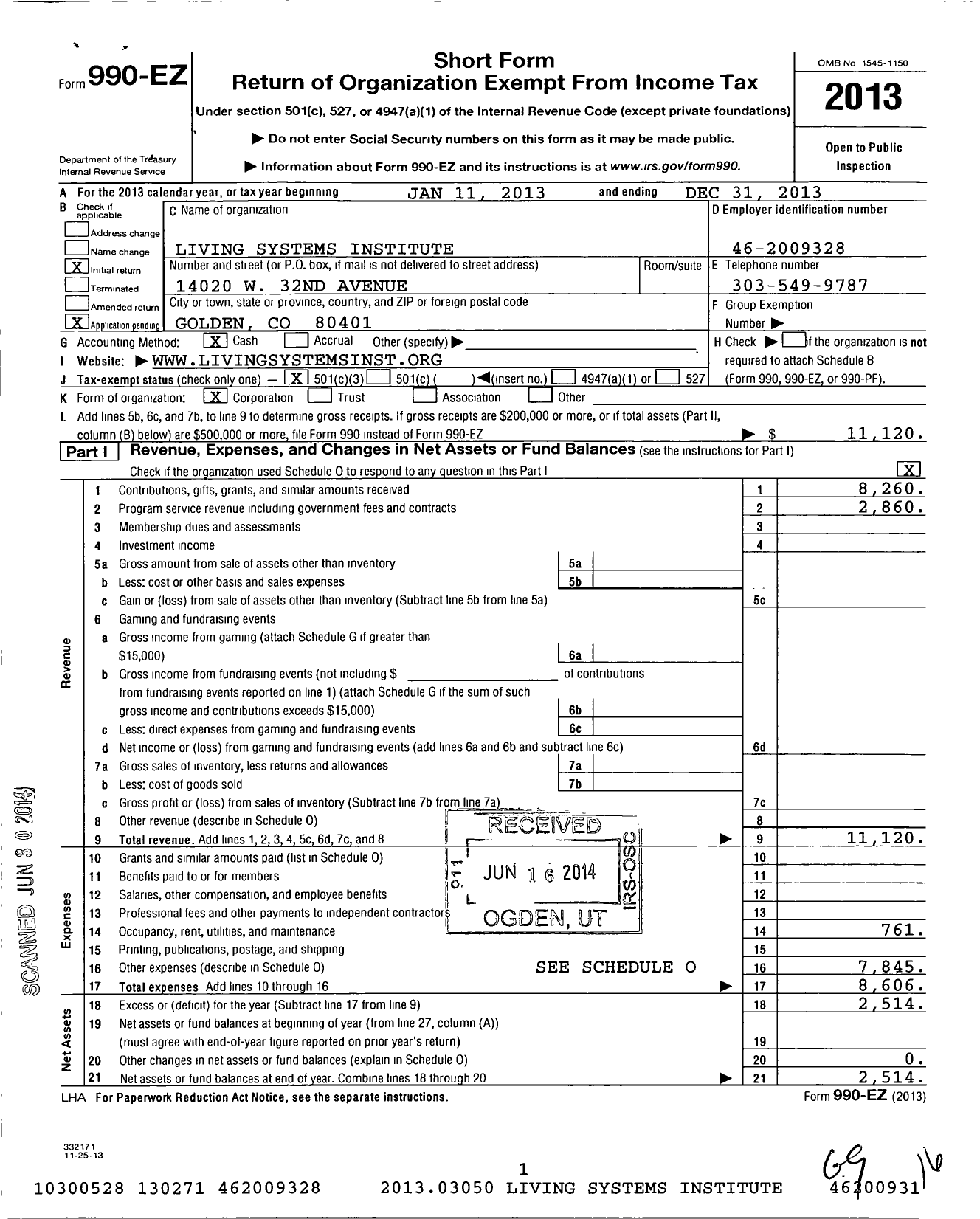 Image of first page of 2013 Form 990EZ for Living Systems Institute