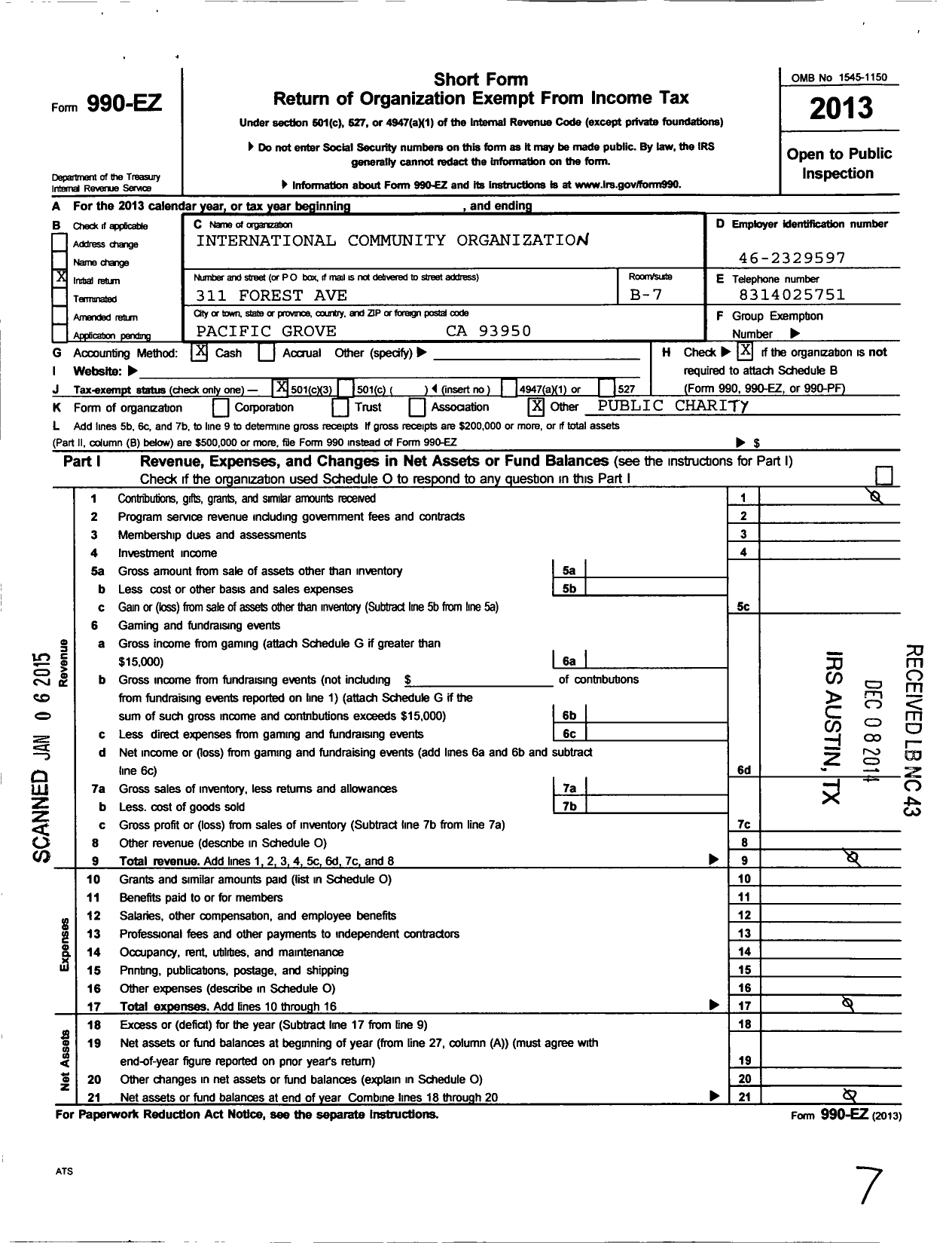 Image of first page of 2013 Form 990EZ for International Community Organization (ICO)