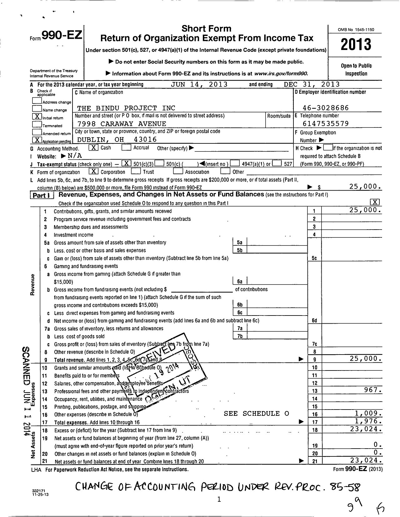 Image of first page of 2013 Form 990EZ for Bindu Project