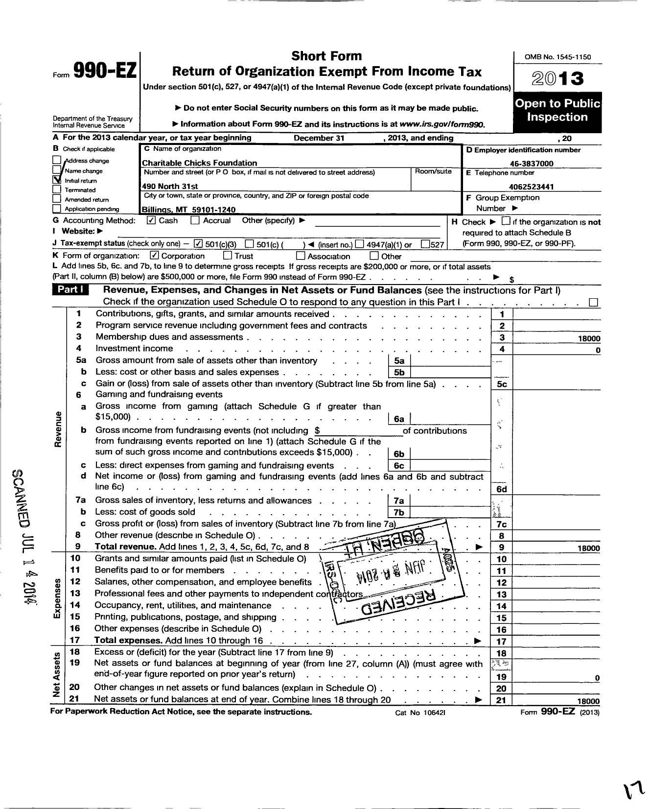 Image of first page of 2013 Form 990EZ for Charitable Chicks Foundation