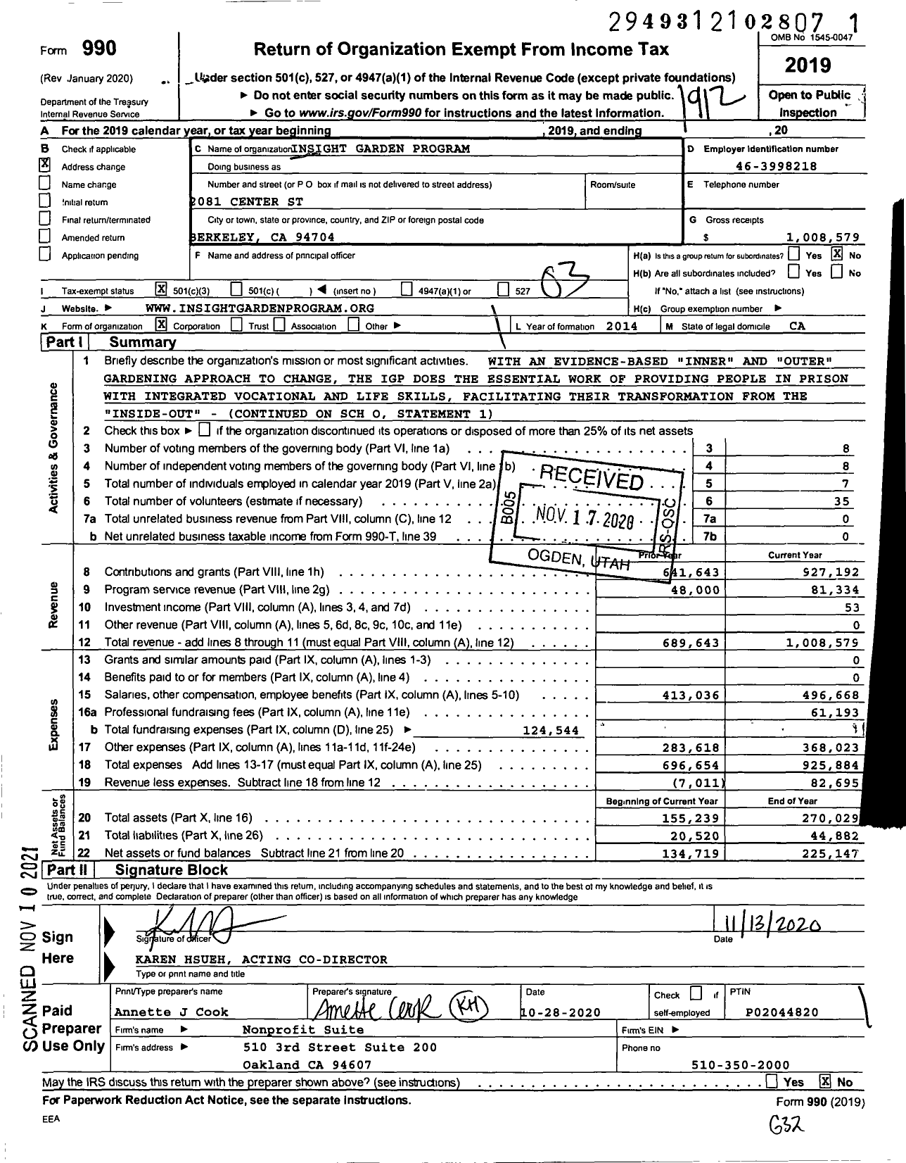 Image of first page of 2019 Form 990 for Insight Garden Program