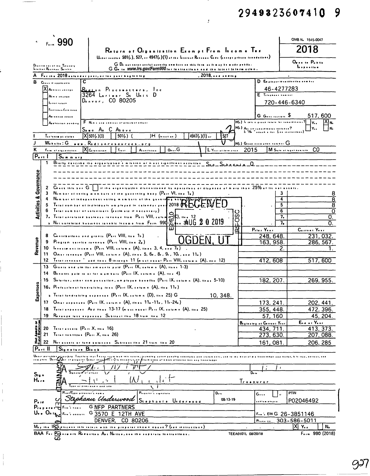 Image of first page of 2018 Form 990 for Radian Placematters