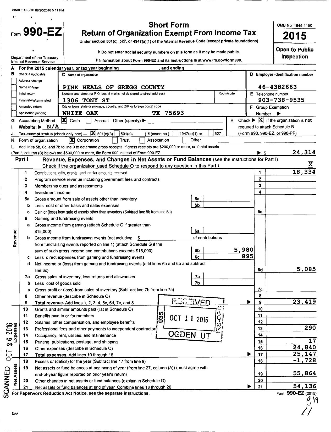 Image of first page of 2015 Form 990EZ for Pink Heals of Gregg County