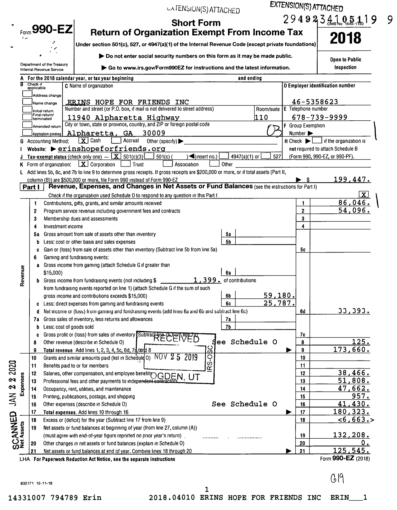 Image of first page of 2018 Form 990EZ for Erins Hope For Friends