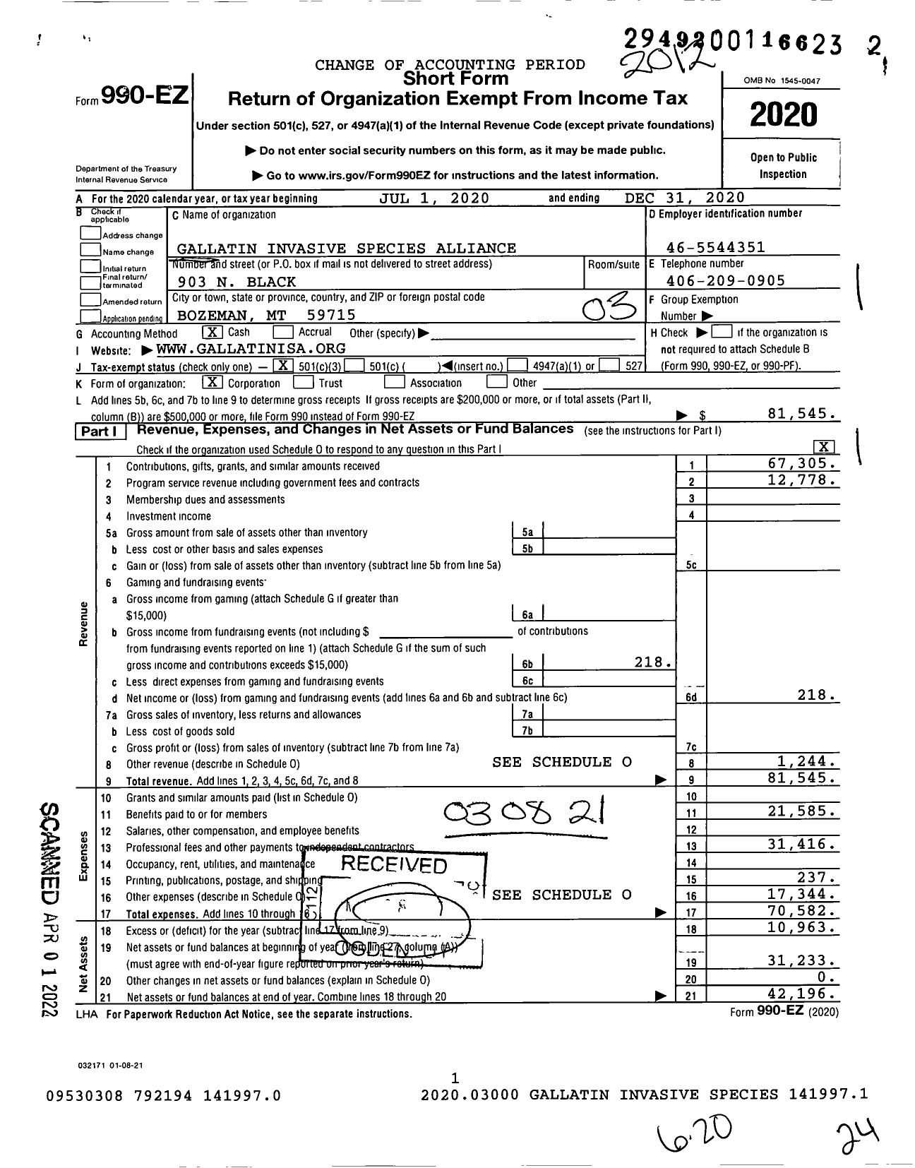 Image of first page of 2020 Form 990EZ for Gallatin Invasive Species Alliance