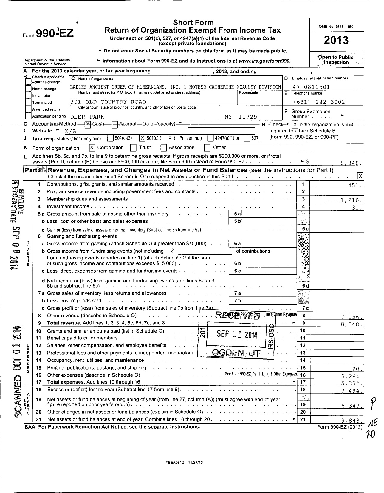 Image of first page of 2013 Form 990EO for Ancient Order of Hibernians Ladies