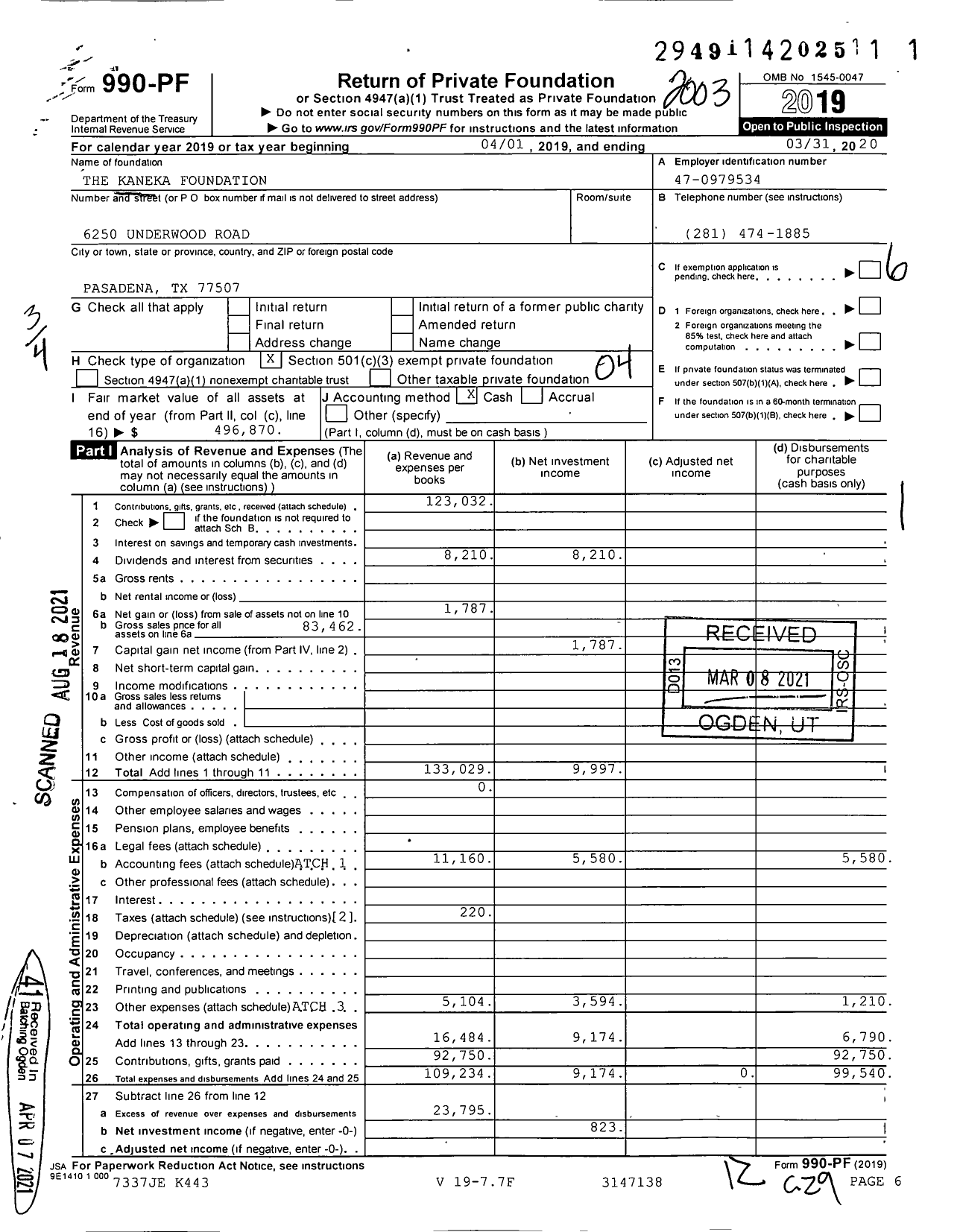 Image of first page of 2019 Form 990PF for The Kaneka Foundation